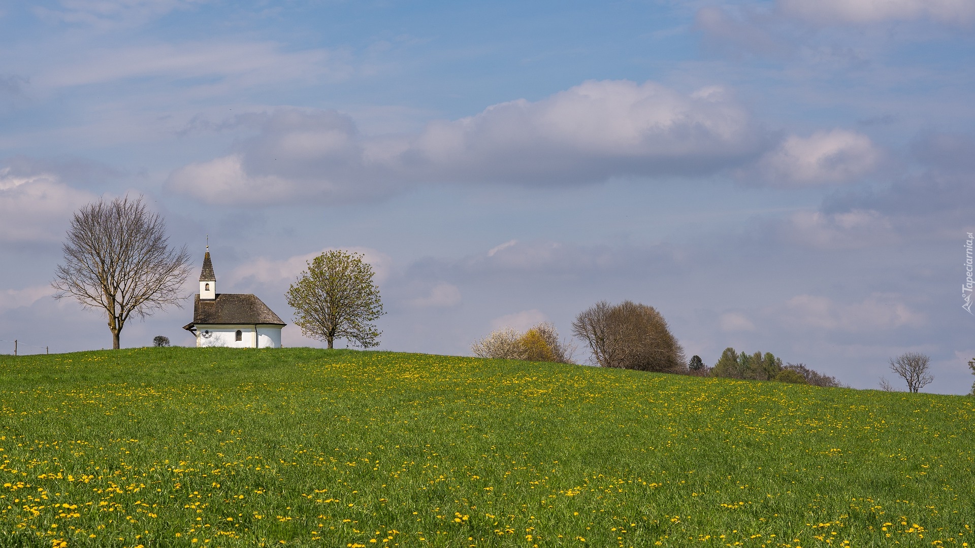 Wzgórze, Kościół, Kaplica, Drzewa, Łąka, Kwiaty, Wiosna