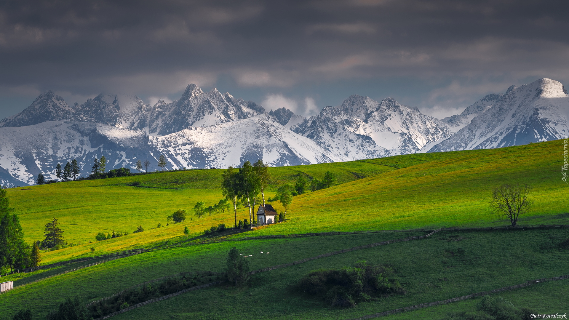 Polska, Gmina Łapsze Niżne, Kacwin, Ośnieżone, Góry, Tatry, Pola, Drzewa, Kaplica Matki Bożej Śnieżnej