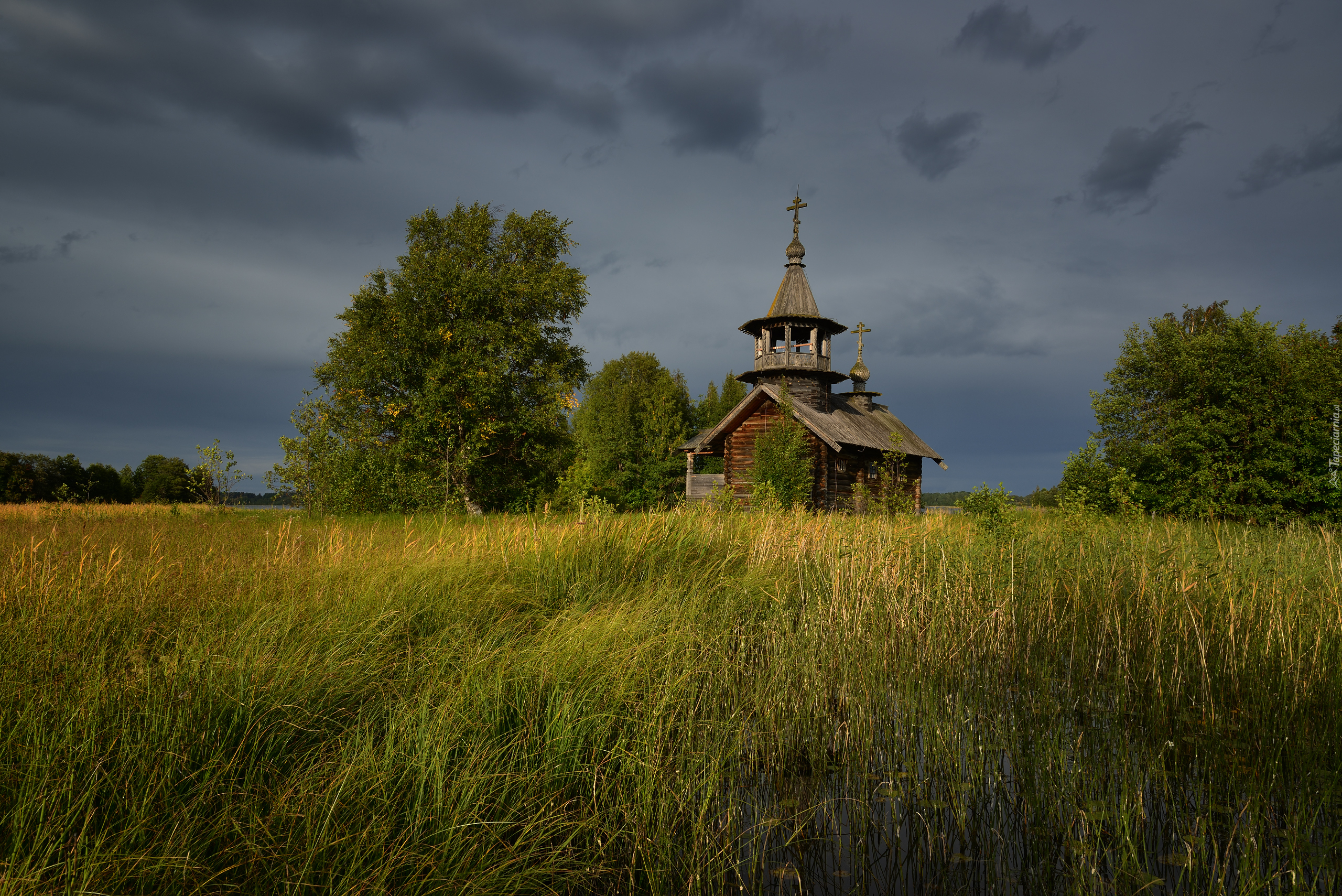 Cerkiew, Kaplica Piotra i Pawła, Trawa, Drzewa, Wieś Eglowo, Wyspa Kiży, Karelia, Rosja