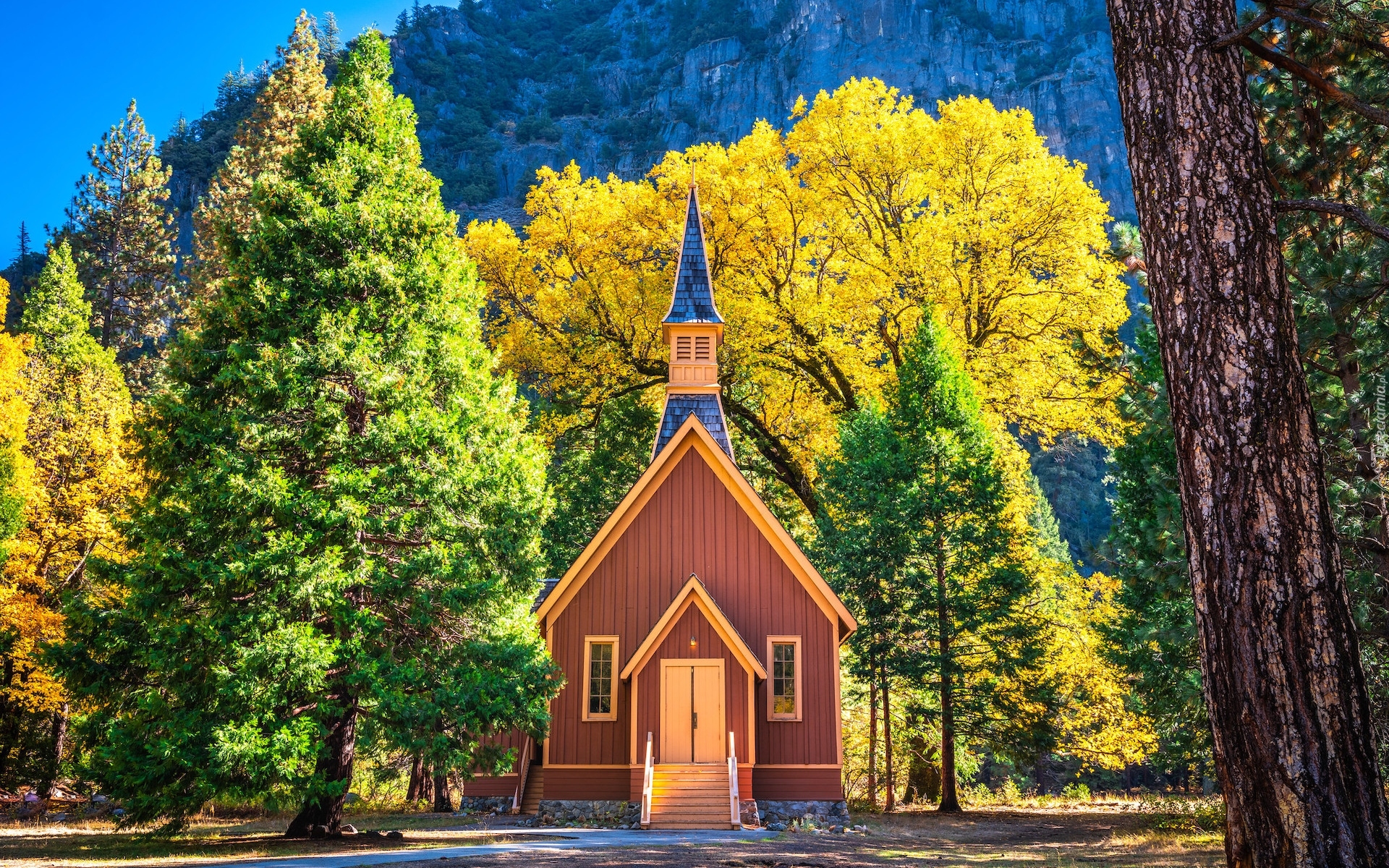 Stany Zjednoczone, Kalifornia, Park Narodowy Yosemite, Kaplica, Kościół, Drzewa, Jesień