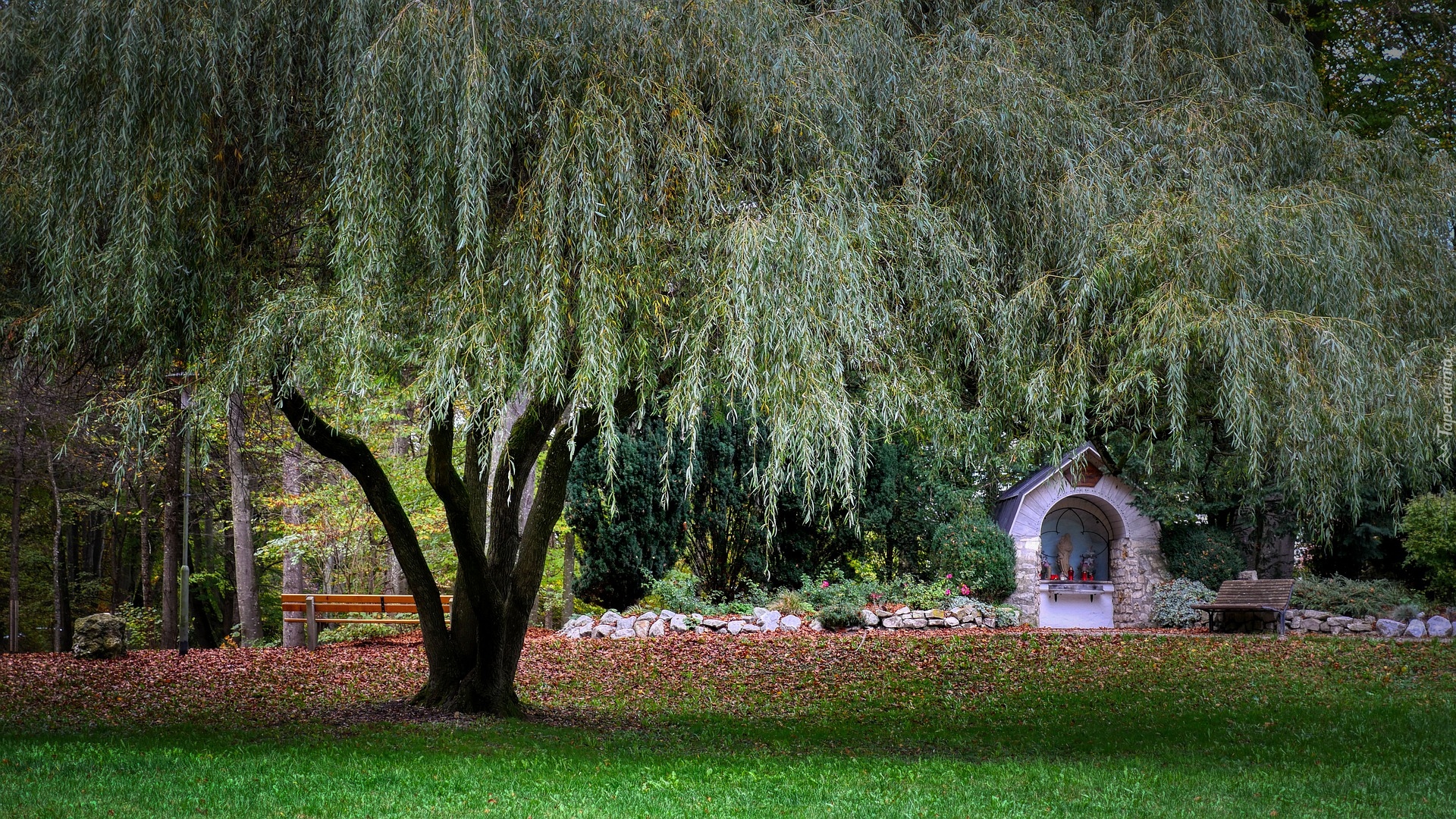 Park, Drzewa, Wierzba, Kapliczka