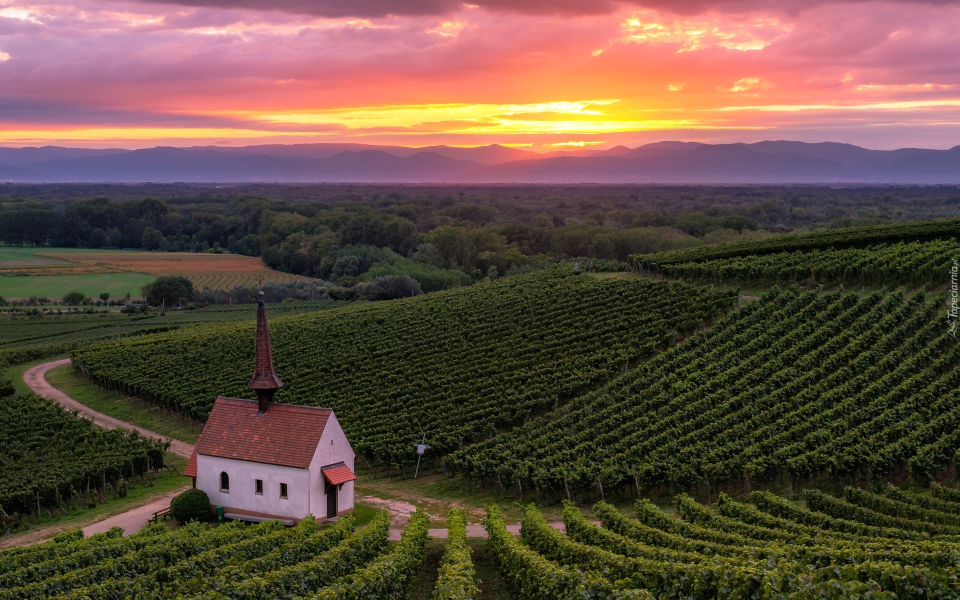 Wzgórza, Plantacja, Winnice, Kapliczka, Zachód słońca, Kaiserstuhl, Sasbach, Niemcy