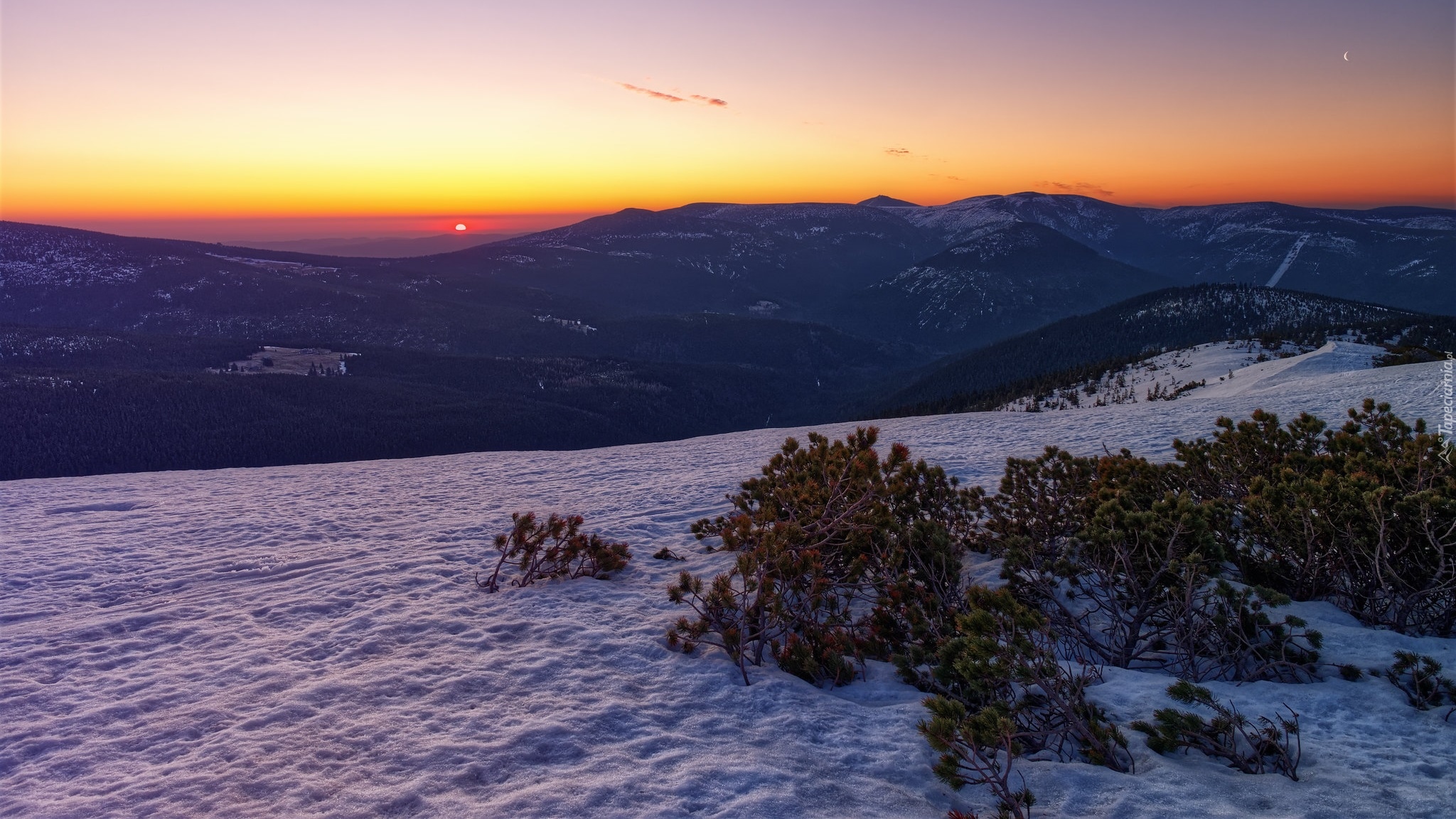 Wschód słońca, Góry, Karkonosze, Śnieg, Zima, Krzewy, Iglaki