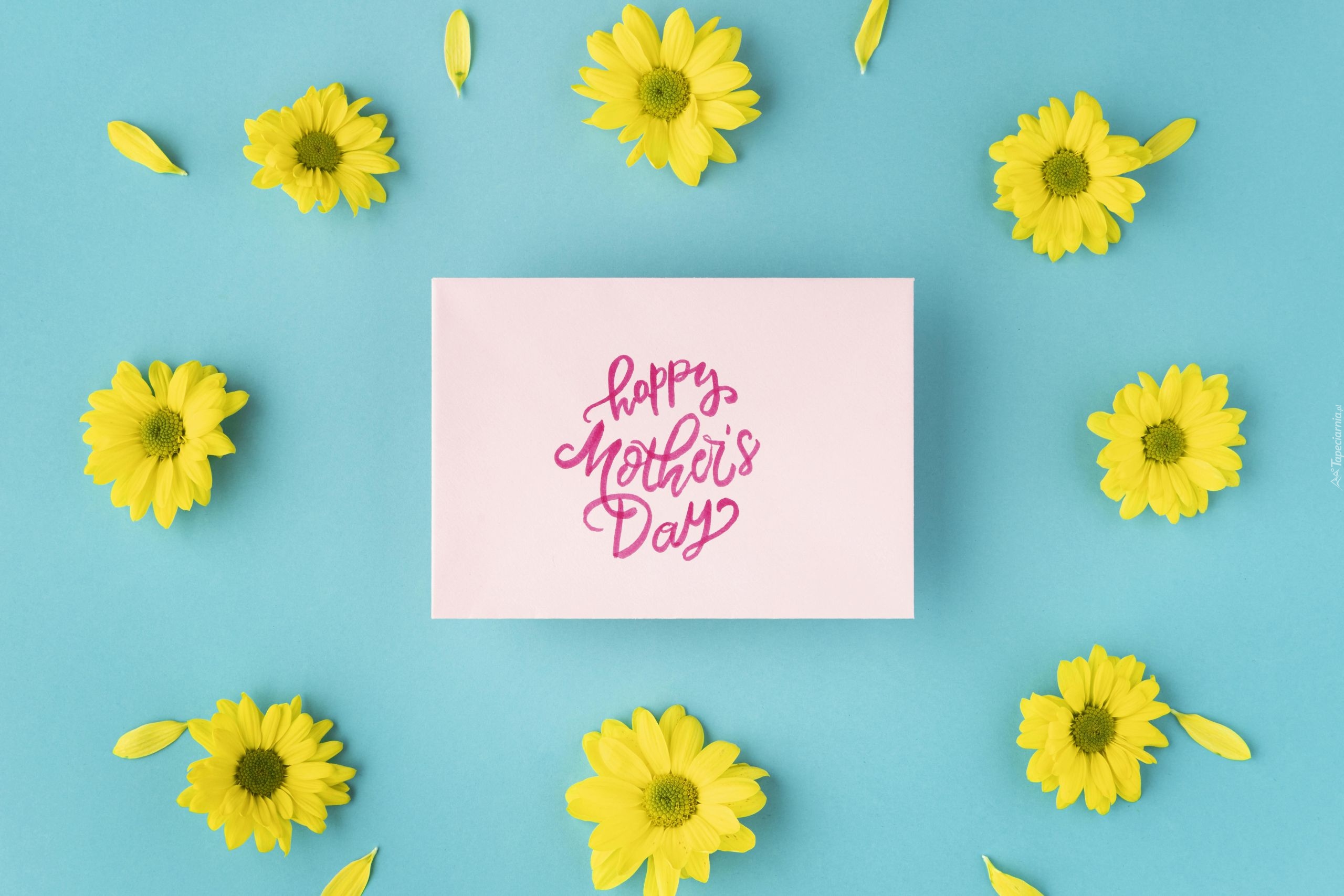 Dzień Matki, Żółte, Kwiaty, Kartka, Napis, Happy Mothers Day, Niebieskie, Tło