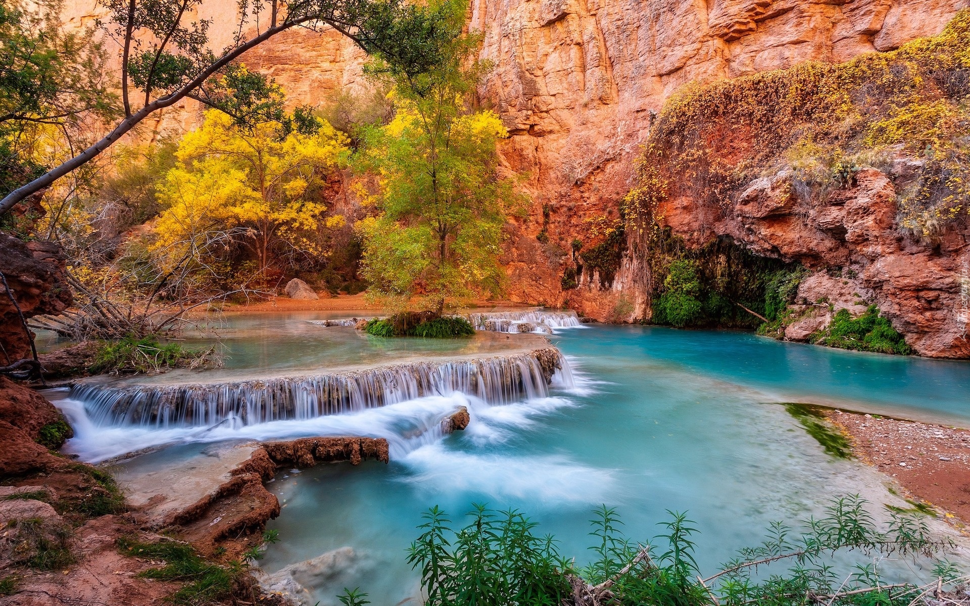 Stany Zjednoczone, Park Narodowy Grand Canyon, Havasupai Indian Reservation, Skały, Kaskada, Rzeka, Drzewa