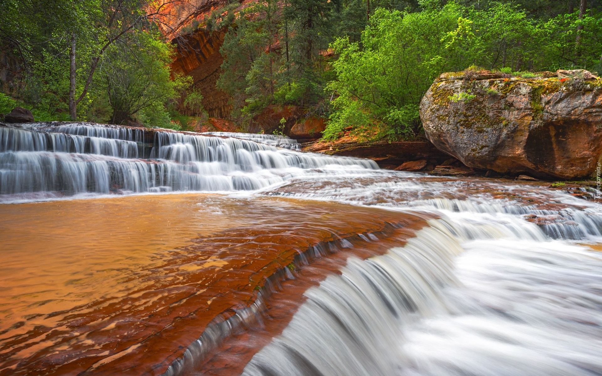 Stany Zjednoczone, Utah, Park Narodowy Zion, Kanion Zion Narrows, Skały, Drzewa, Rzeka, Virgin River