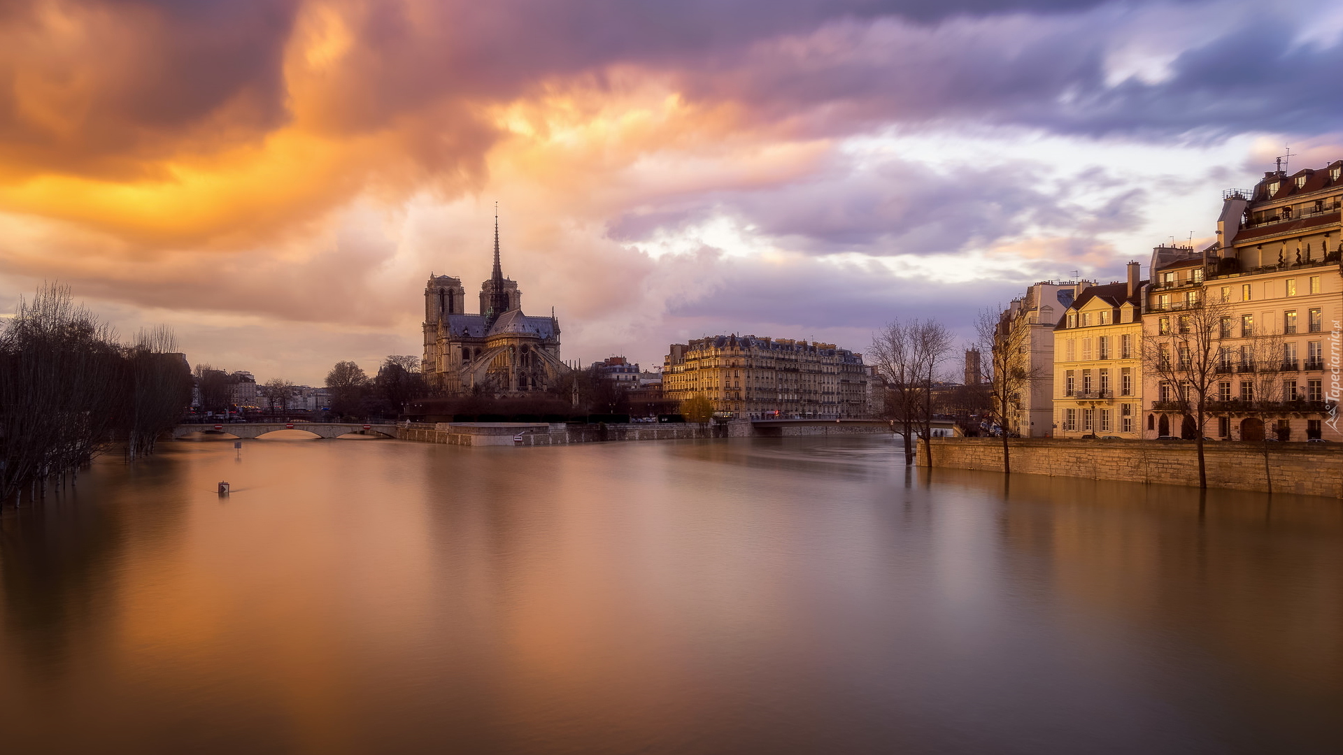 Rzeka Sekwana, Katedra Notre Dame, Domy, Paryż, Francja