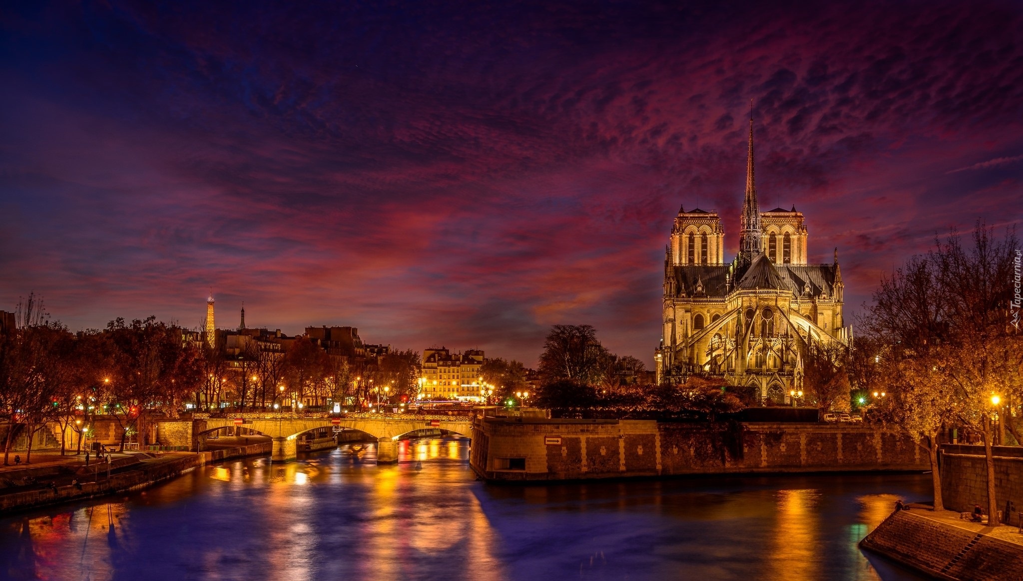 Francja, Paryż, Katedra Notre-Dame, Rzeka Sekwana, Światła, Most