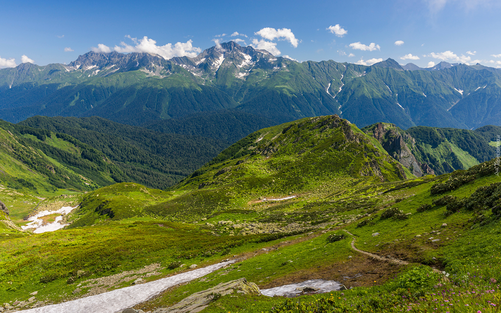 Góry, Kaukaz, Góra, Mount Chugush, Chmury, Drzewa, Trawa, Kraj Krasnodarski, Rosja