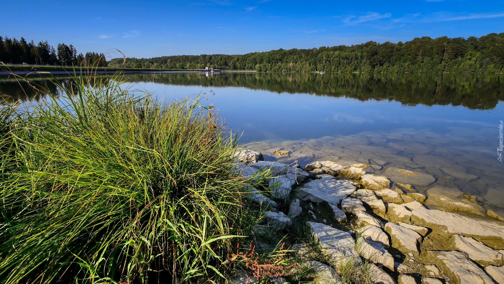 Zbiornik wodny, Jezioro, Trawa, Kamienie, Las, Zapora