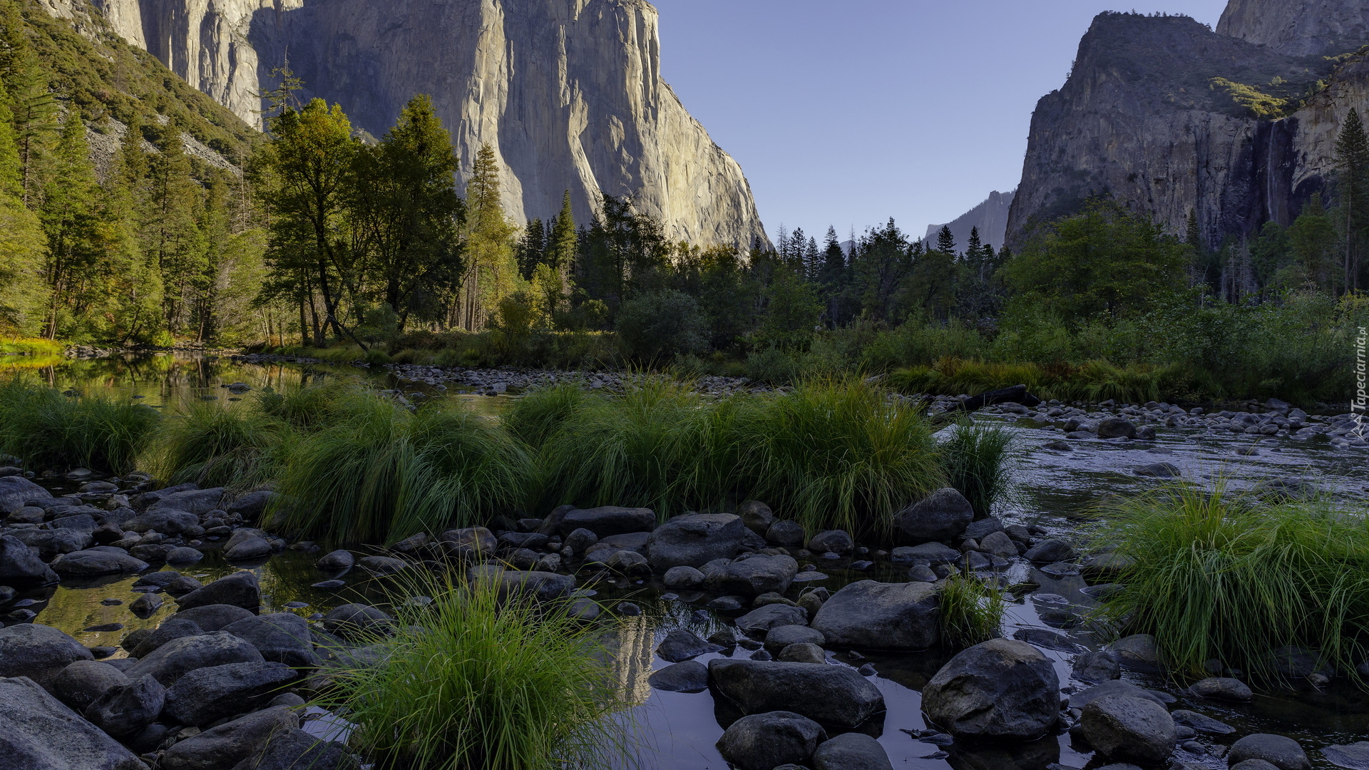 Park Narodowy Yosemite, Góry Sierra Nevada, Rzeka, Merced River, Dolina, Yosemite Valley, Kępki, Trawy, Kamienie, Drzewa, Kalifornia, Stany Zjednoczone