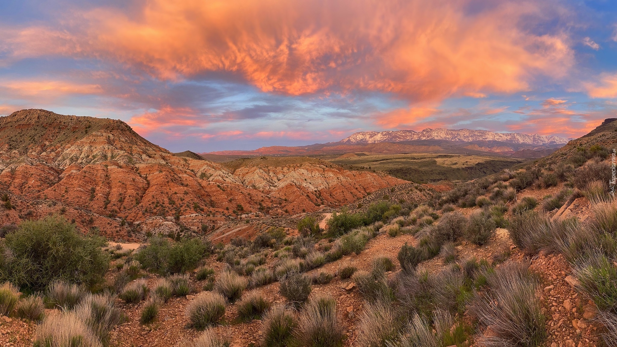 Skały, Góry, Pine Valley Mountain, Kępki, Trawy, Utah, Stany Zjednoczone