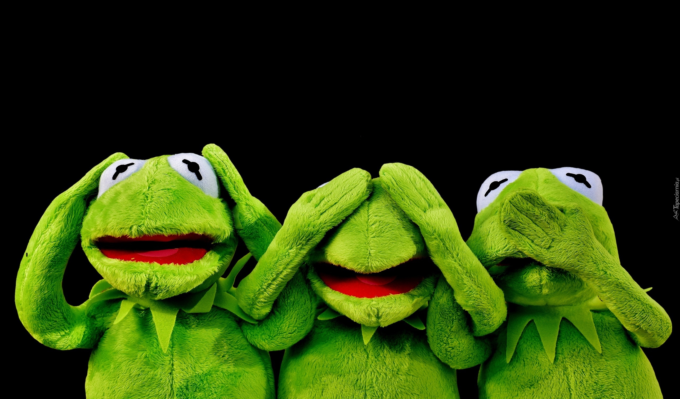 Kermit Images That Are 800 Pixels Wide 200 Pixels Wide