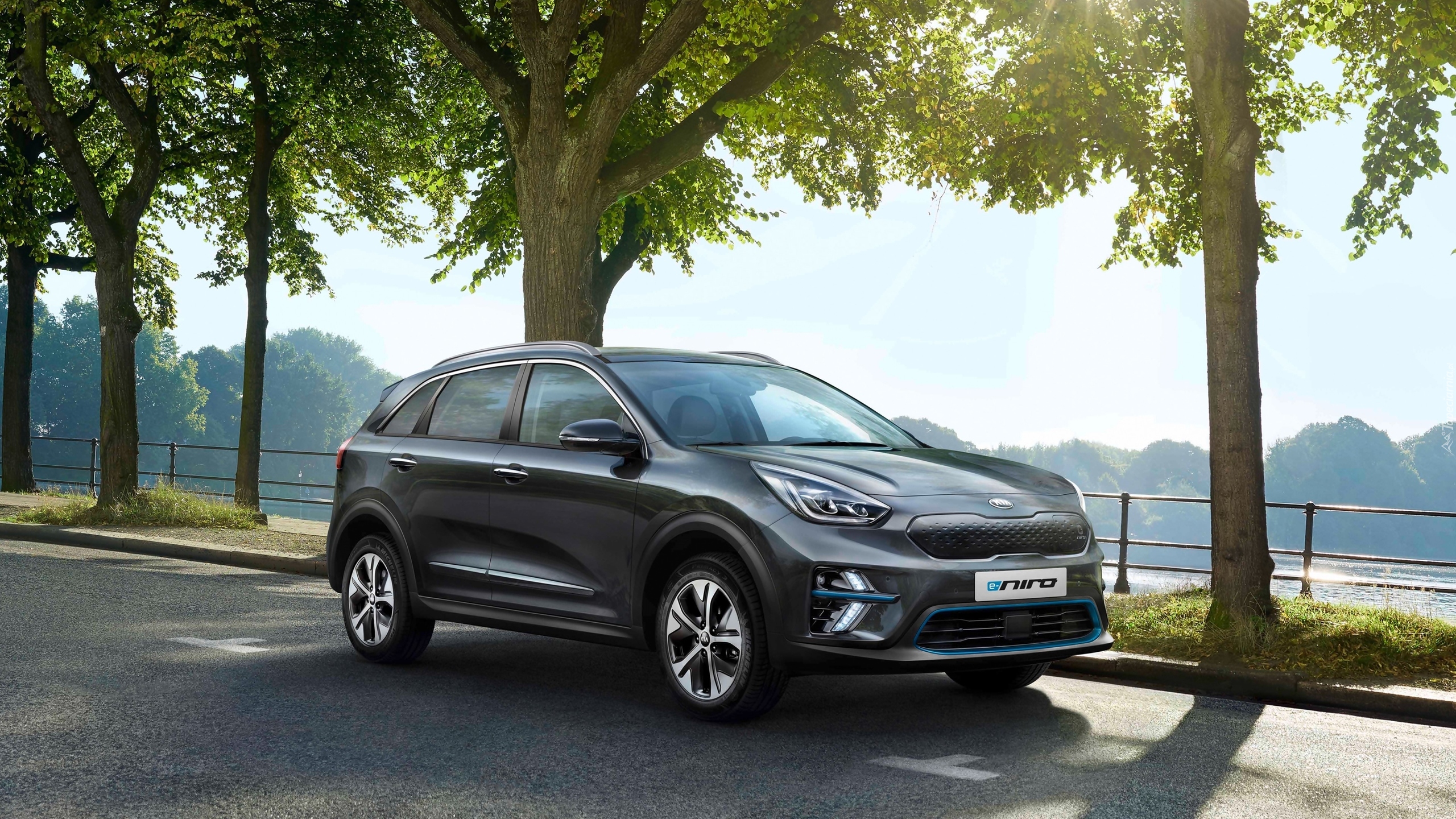 Kia e-Niro, Elektryczny, Samochód