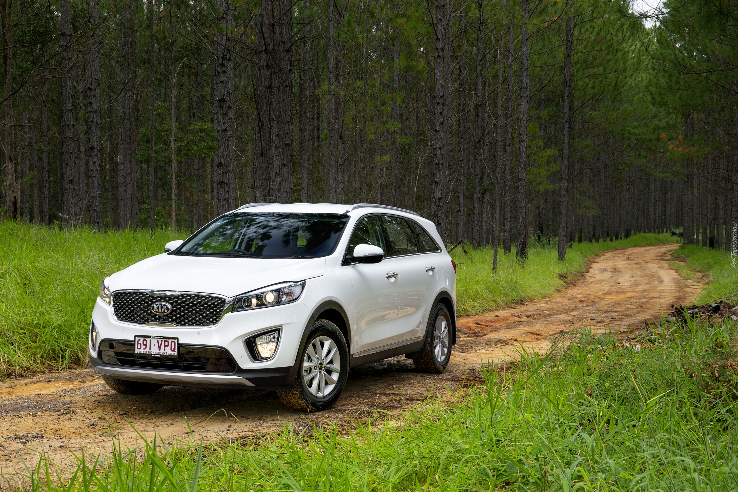 Kia Sorento Platinum, 2016