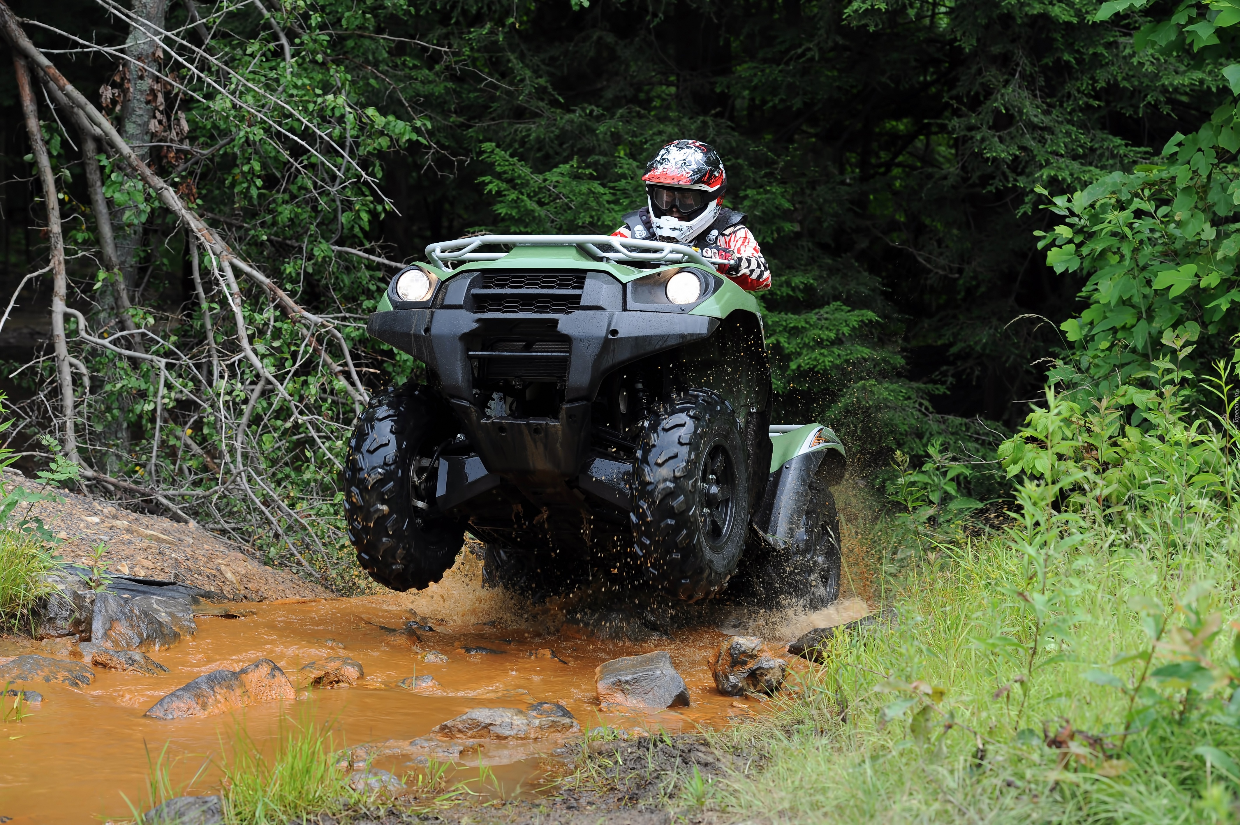 Quad ATV, Droga, Potok, Las