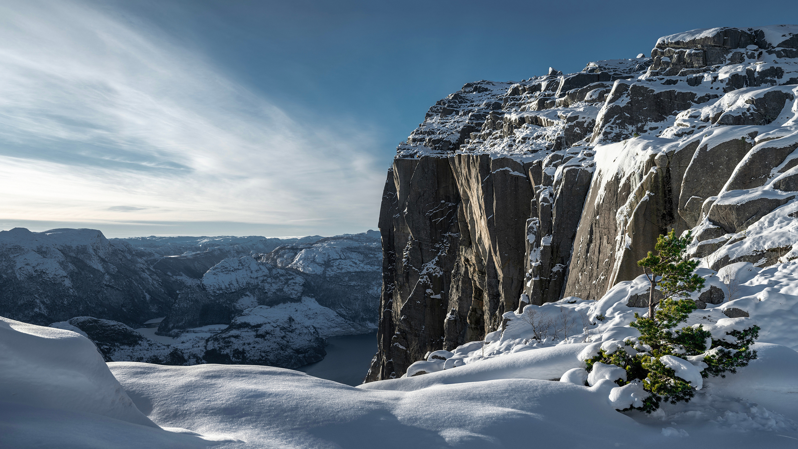 Klif Preikestolen, Góry Skandynawskie, Zima, Drzewo, Rogaland, Norwegia