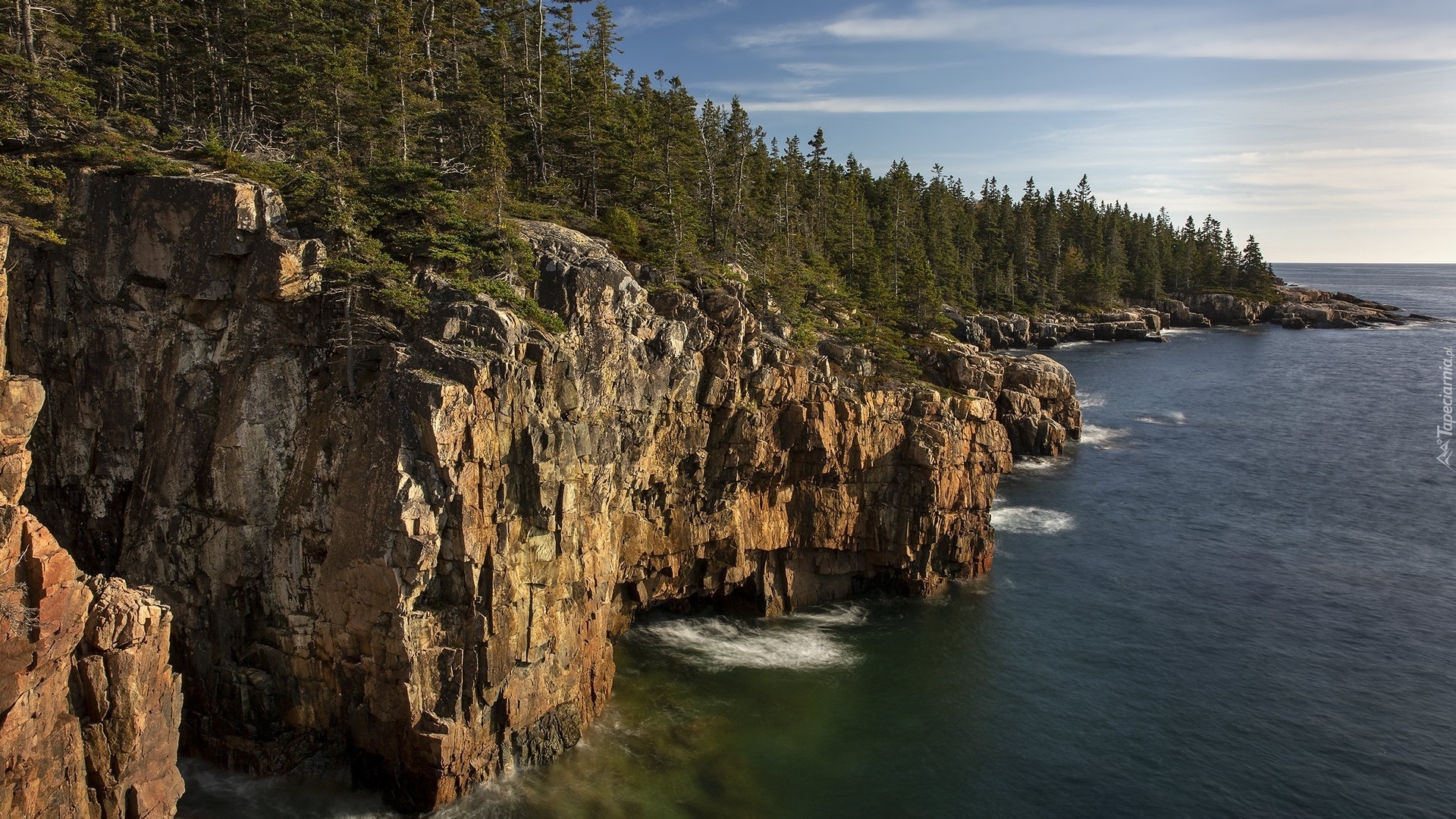 Morze, Skały, Klif, Ravens Nest, Drzewa, Las, Park Narodowy Acadia, Maine, Stany Zjednoczone