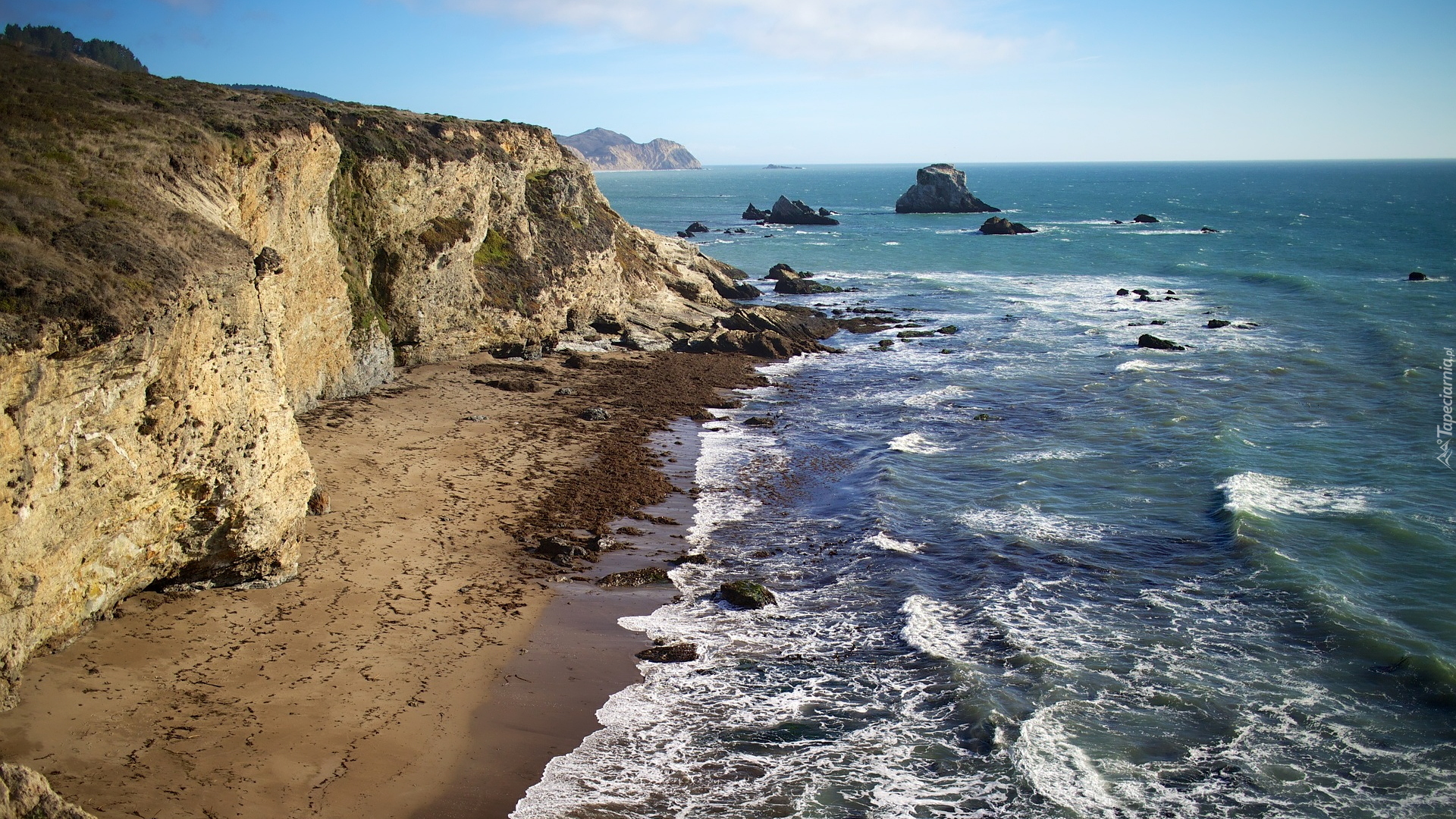 Morze, Fale, Skały, Klif, Tomales Bay, Półwysep Point Reyes, Stan Kalifornia, Stany Zjednoczone