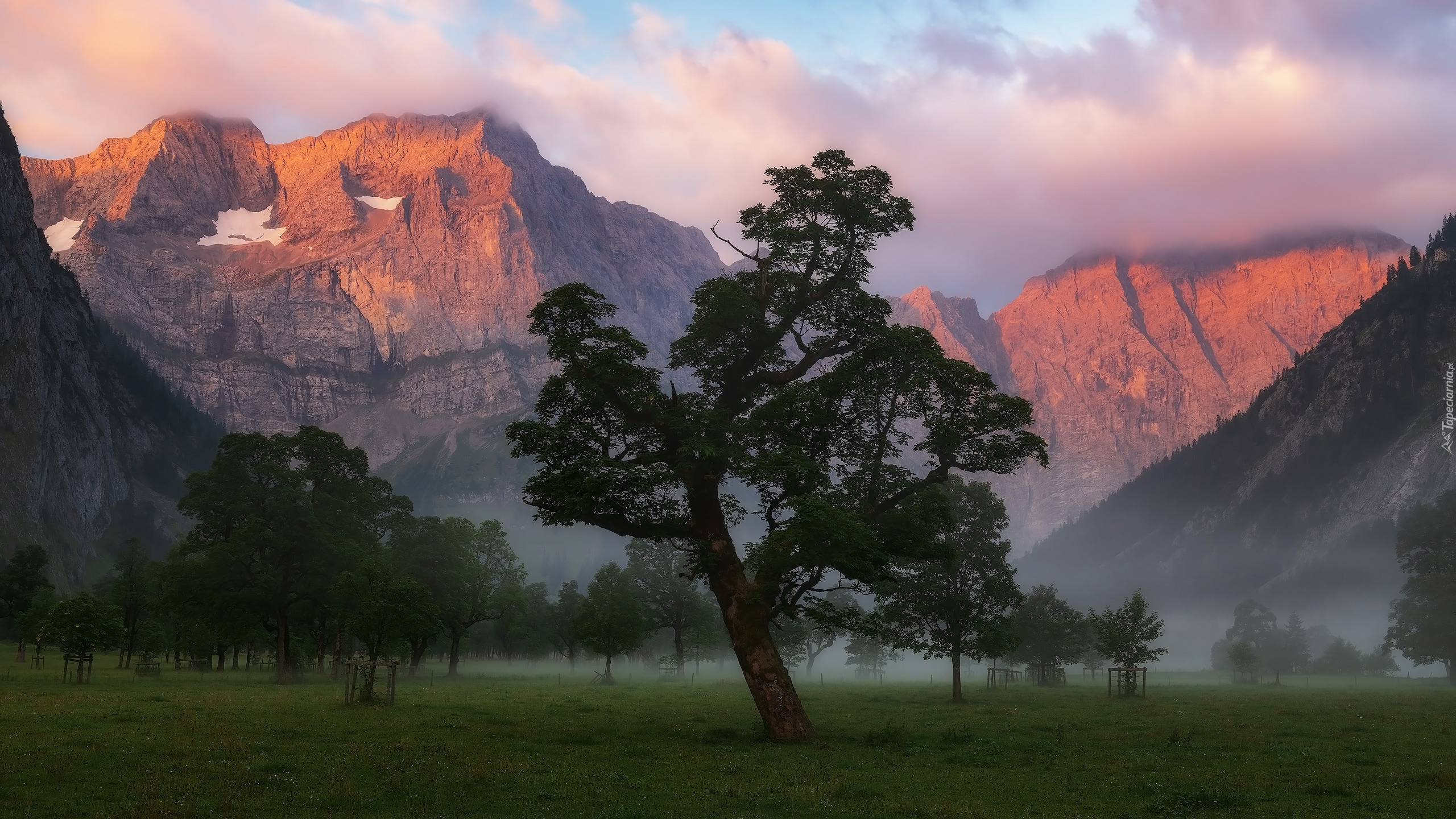 Góry Karwendel, Dolina, Płaskowyż Ahornboden, Drzewa, Klony, Mgła, Chmury, Tyrol, Austria