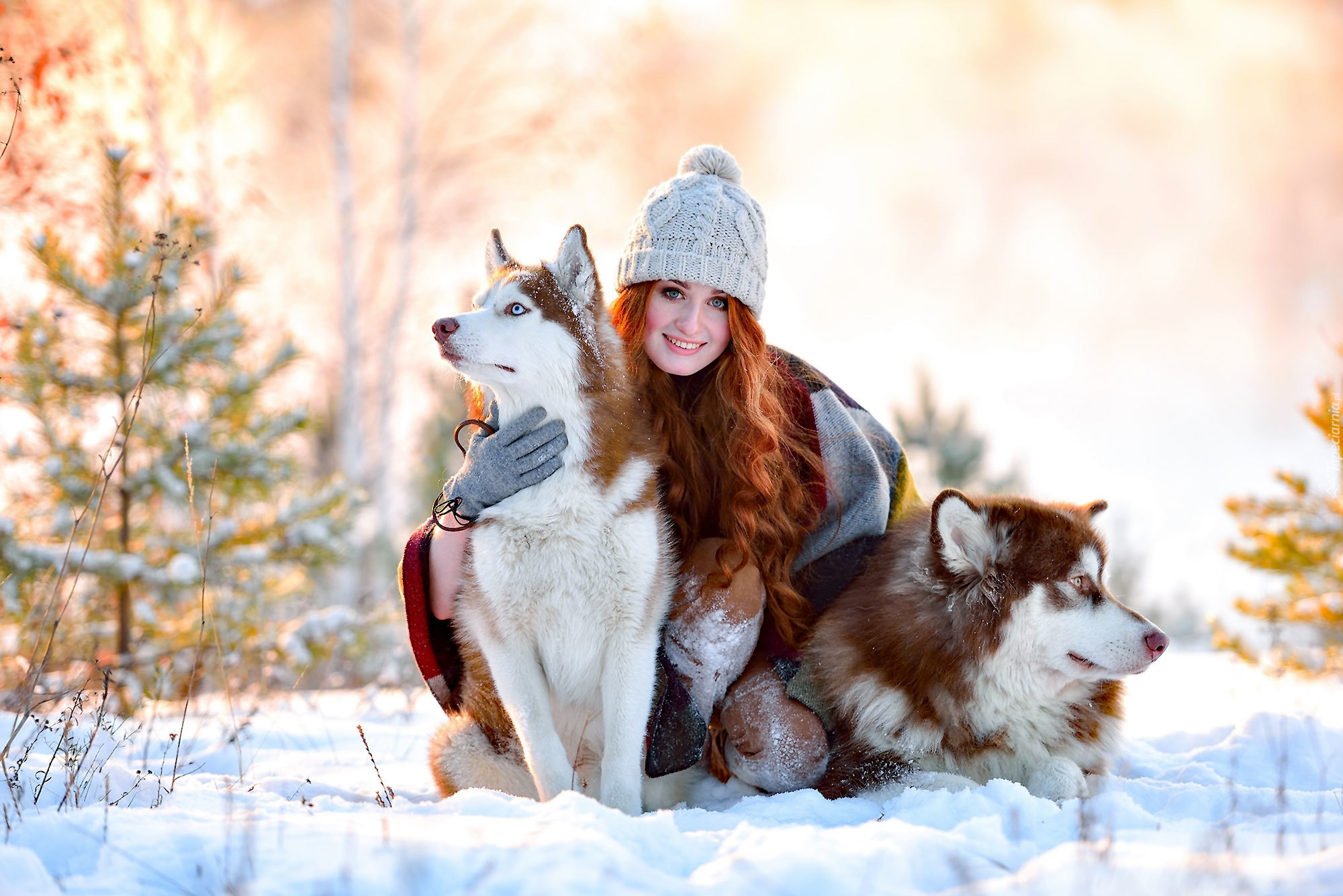 Zima, Kobieta, Siberian Husky