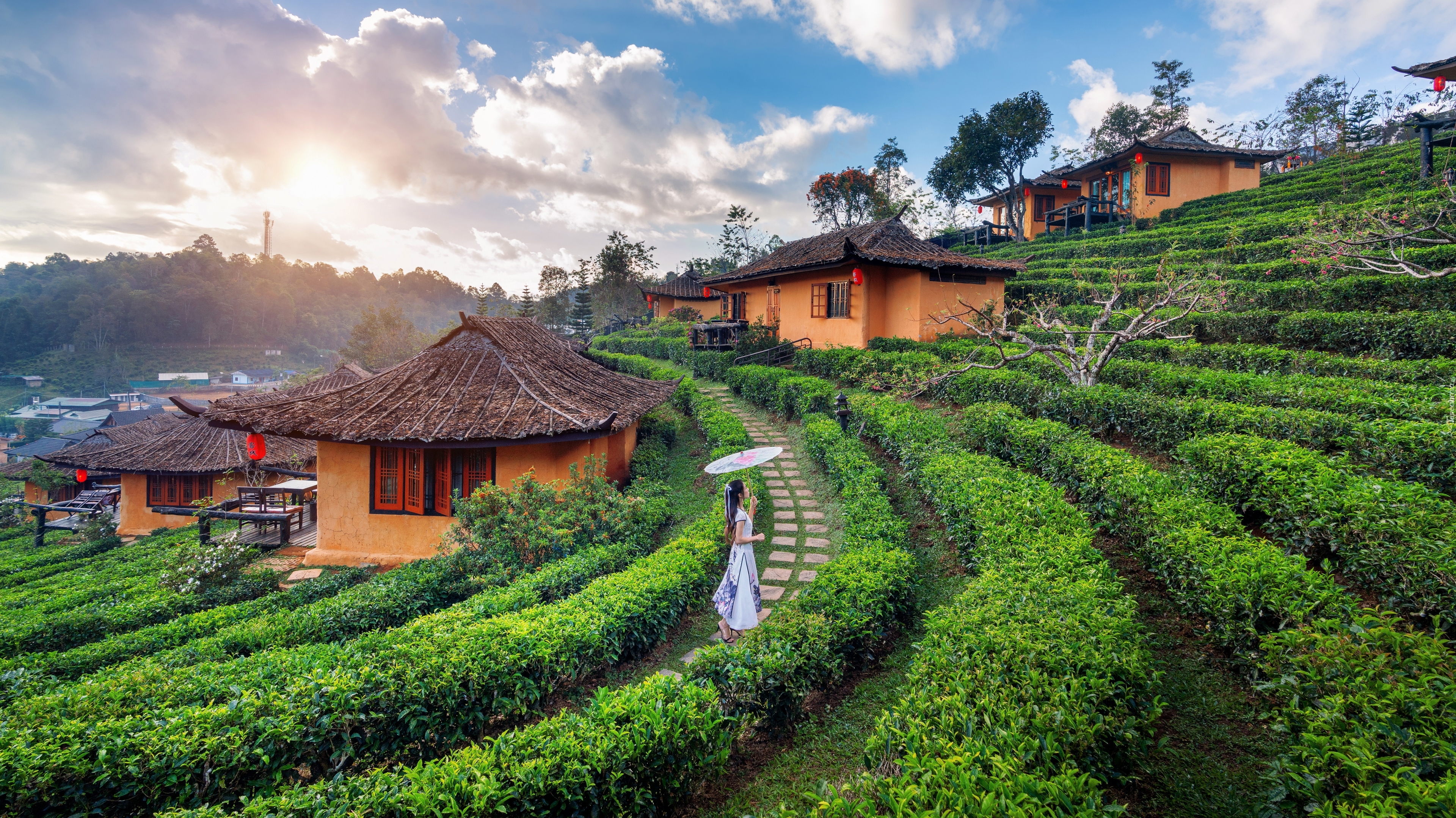 Plantacja, Herbaty, Domy, Kobieta, Parasolka, Wioska, Ban Rak Thai, Prowincja Mae Hong Son, Tajlandia