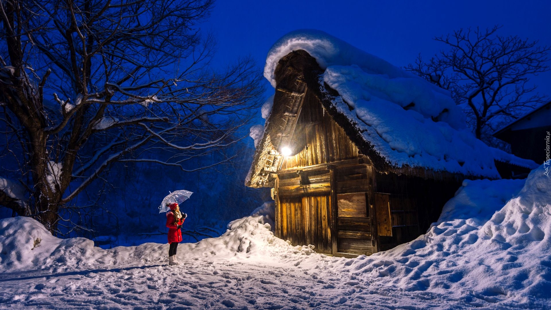 Zima, Kobieta, Wieczór, Drewniany, Dom, Oświetlenie, Drzewa, Śnieg, Wioska, Shirakawa, Japonia