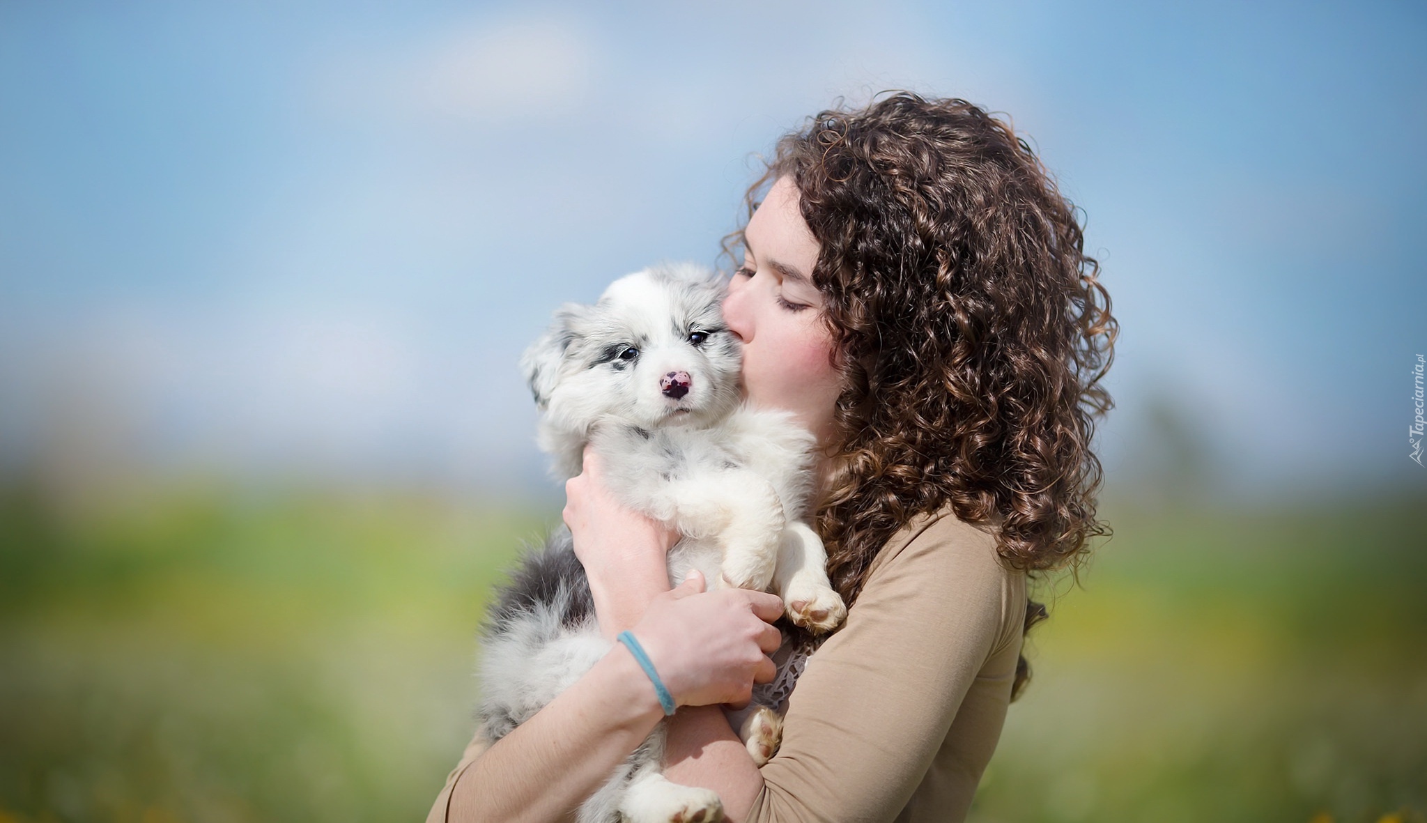 Kobieta, Szczeniak, Border collie, Przytulenie