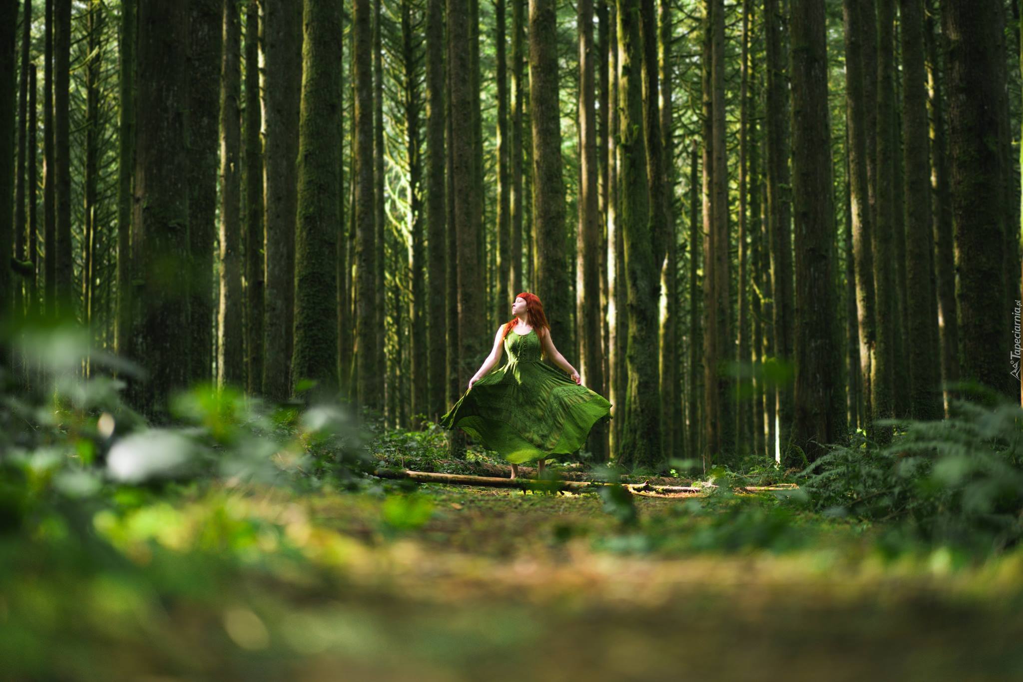 Полненькую в лесу. Кирстен Форест. Девушка в лесу. Фотосессия в лесу. Лесная девушка.