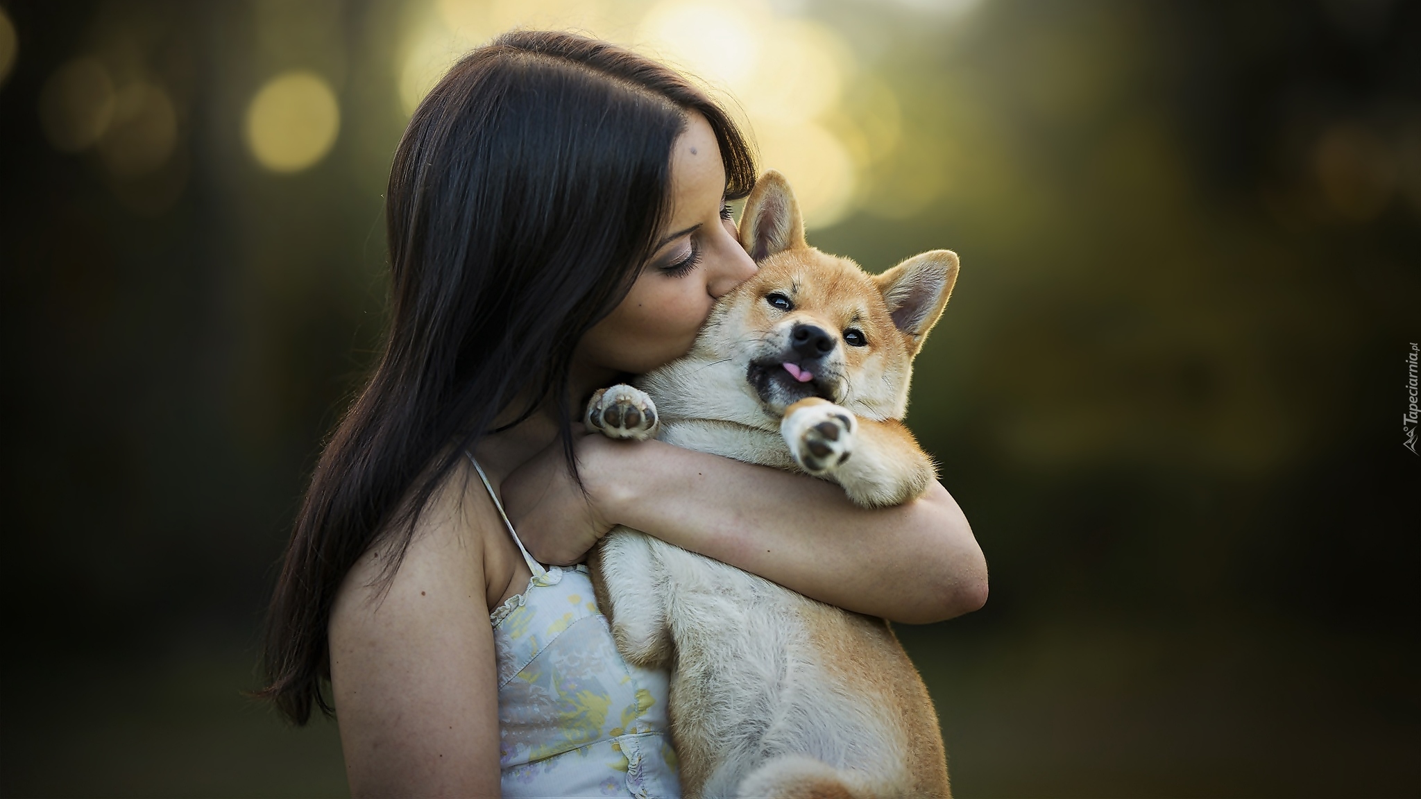 Kobieta, Pies, Shiba inu, Przyjaciele