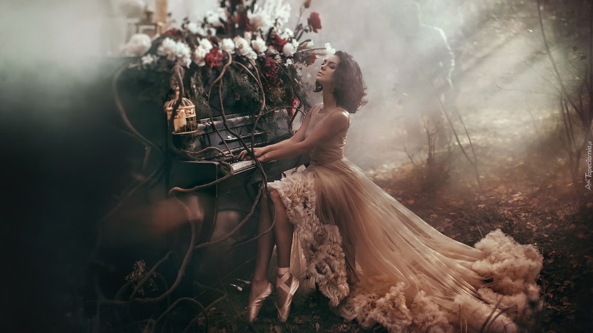 Kobieta, Pianino, kwiaty