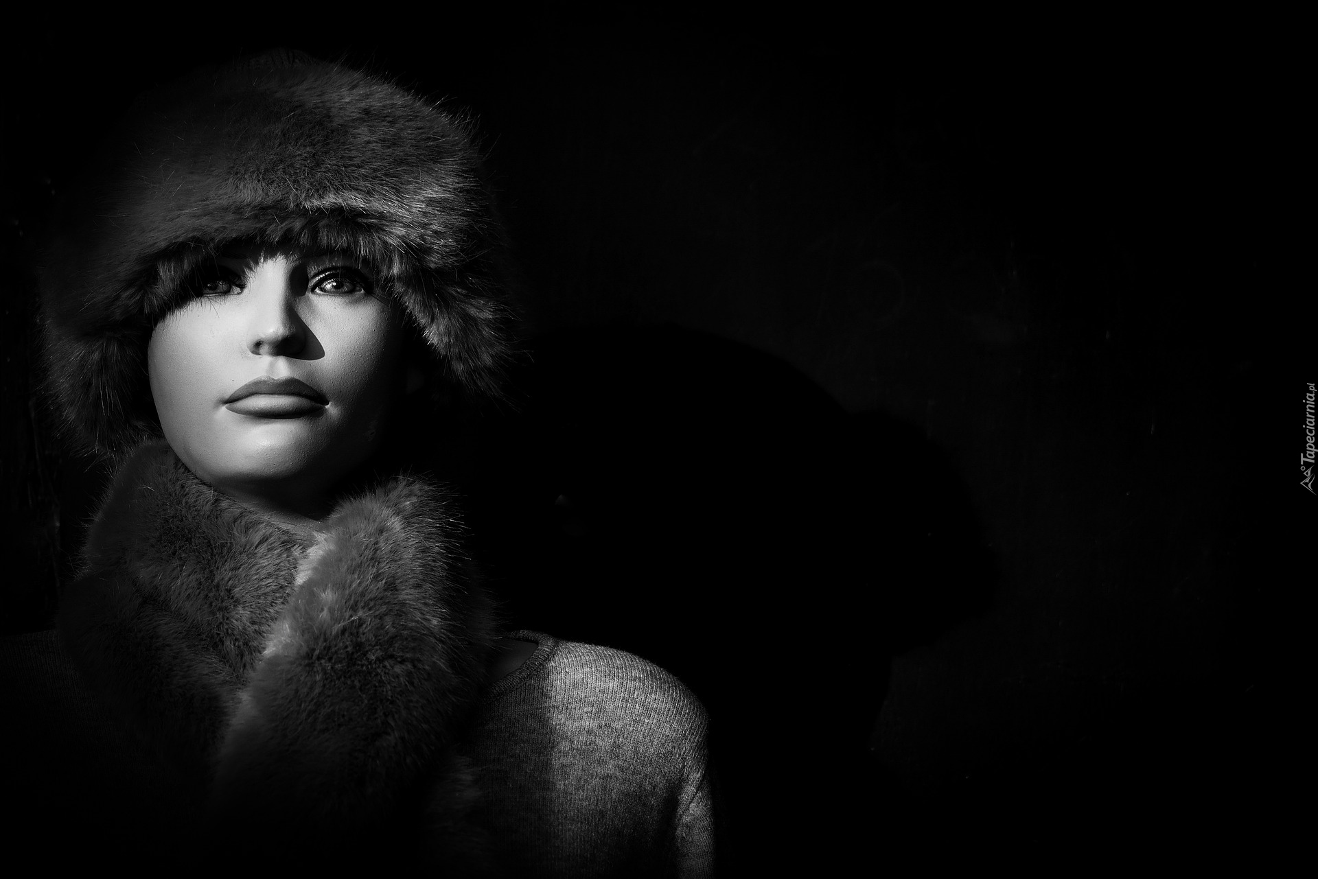 Portret, Kobieta, Futro, Monochromia