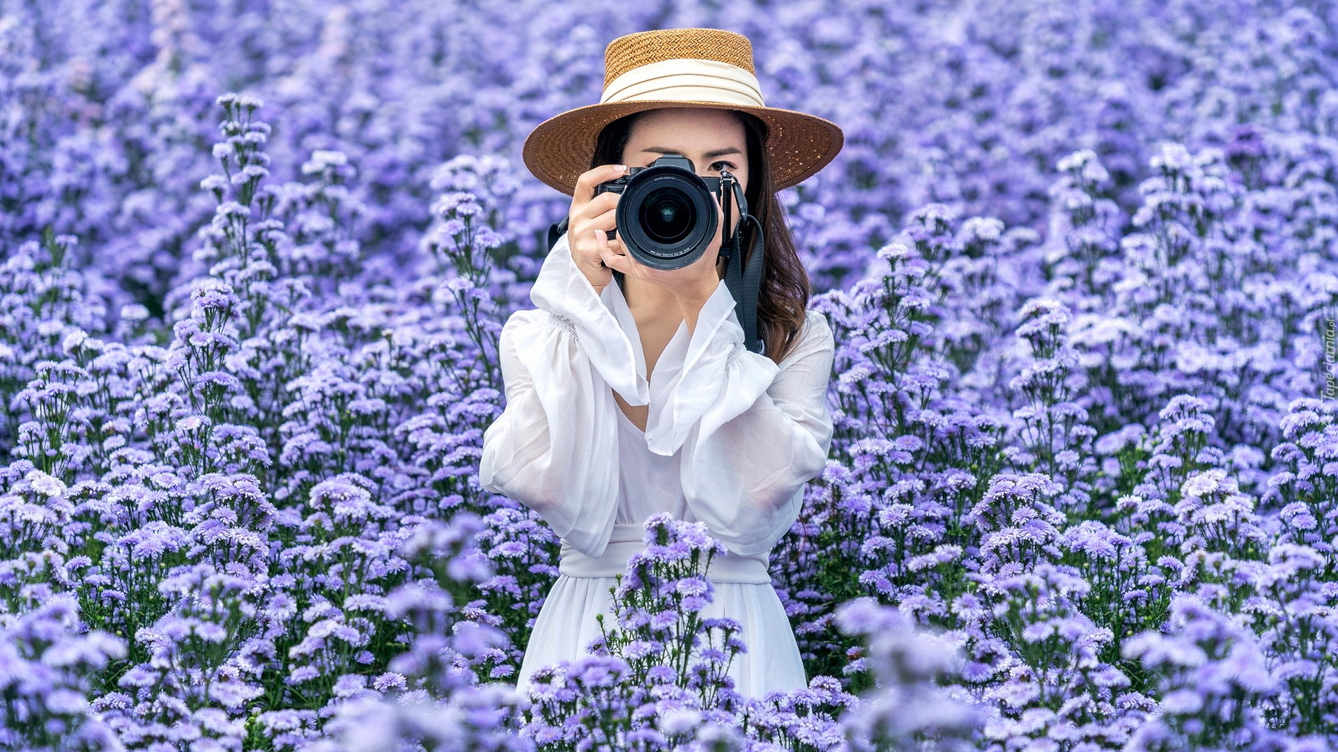 Dziewczyna, Azjatka, Aparat fotograficzny, Kapelusz, Sukienka, Łąka, Niebieskie, Kwiaty