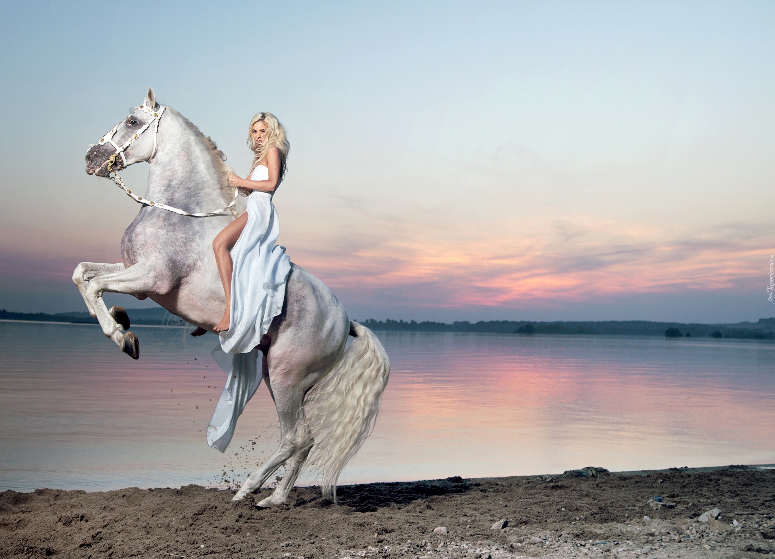 Biały, Koń, Kobieta, Jezioro