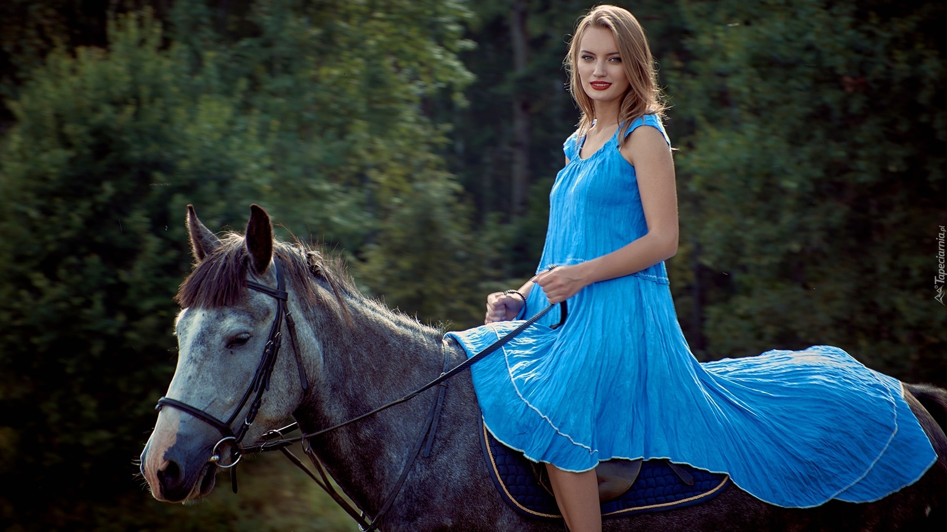 Kobieta, Niebieska, Sukienka, Koń