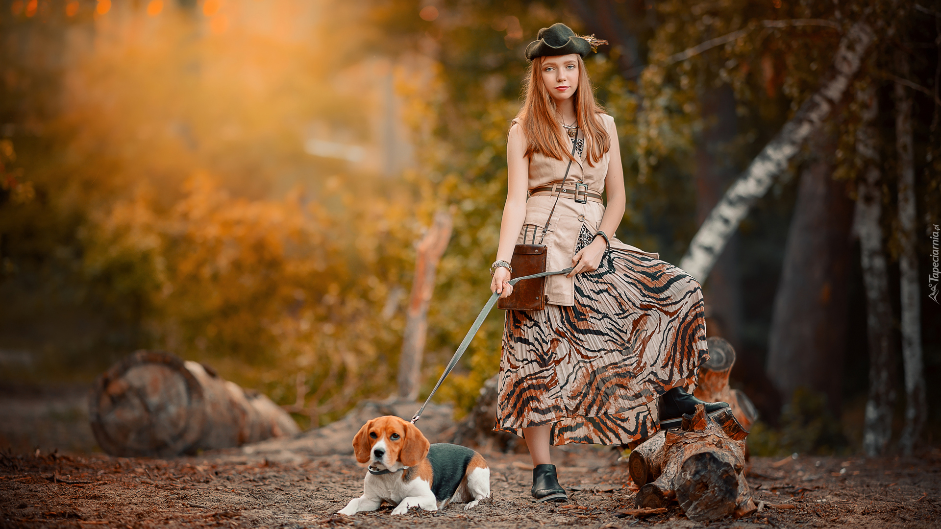 Dziewczyna, Pies, Beagle, Las, Drzewa