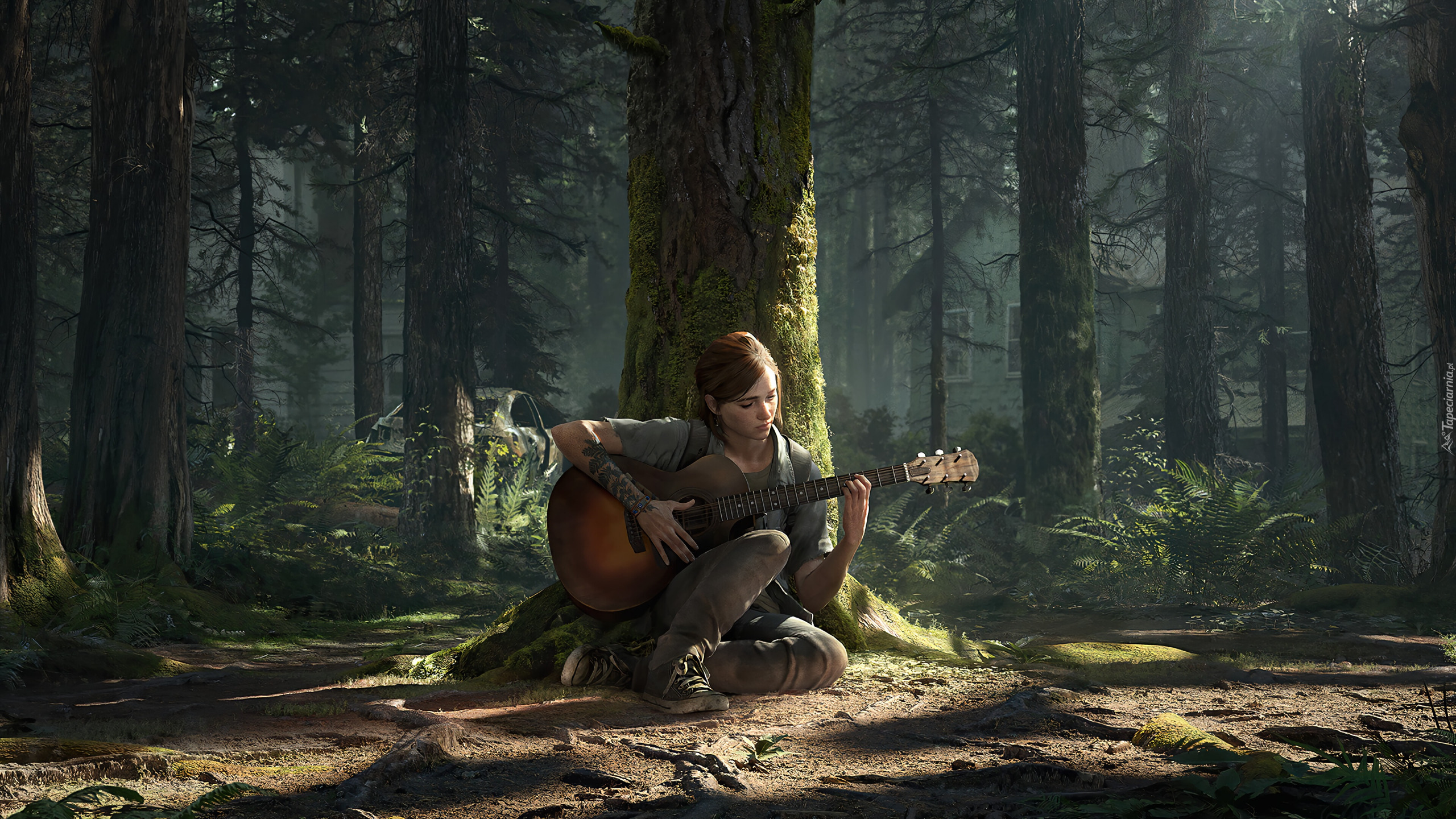 Gra, The Last of Us, Kobieta, Gitara, Drzewo, Las