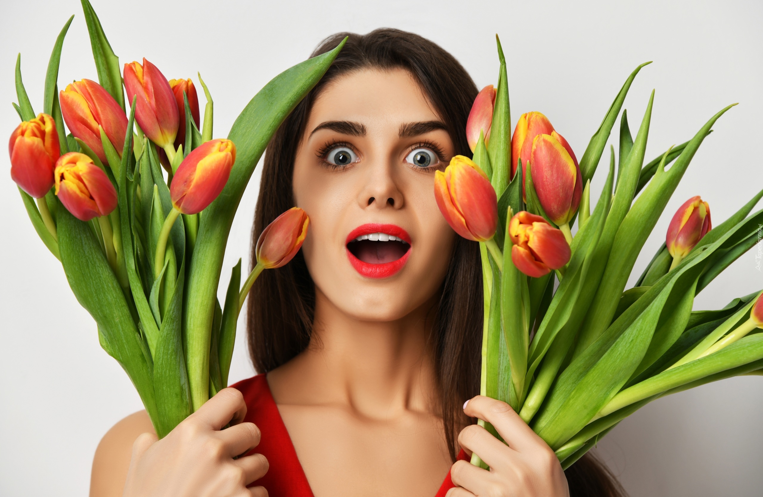 Kobieta, Tulipany, Wiązanki