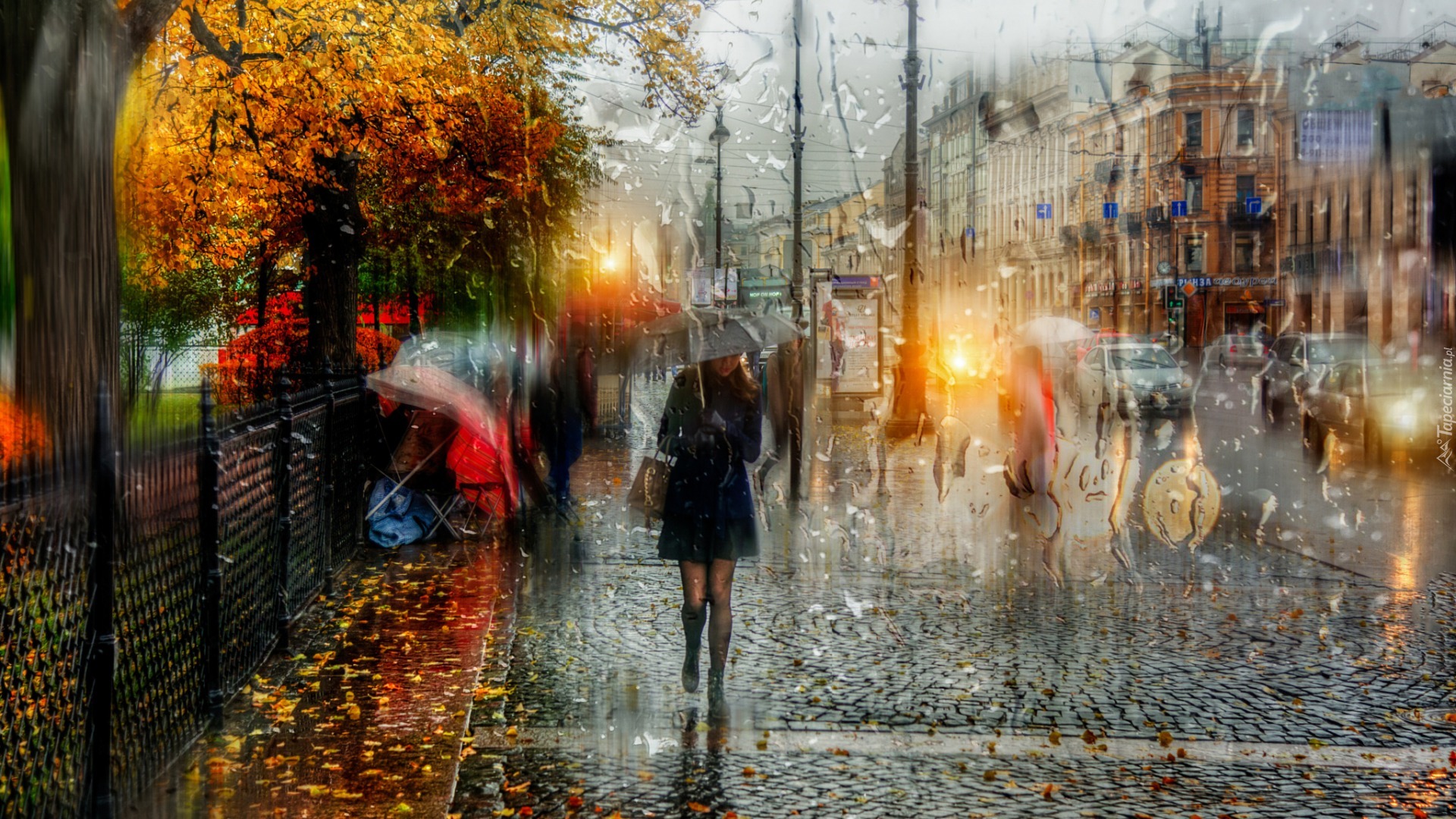 Petersburg, Kobieta, Parasol, Ulica, Deszcz