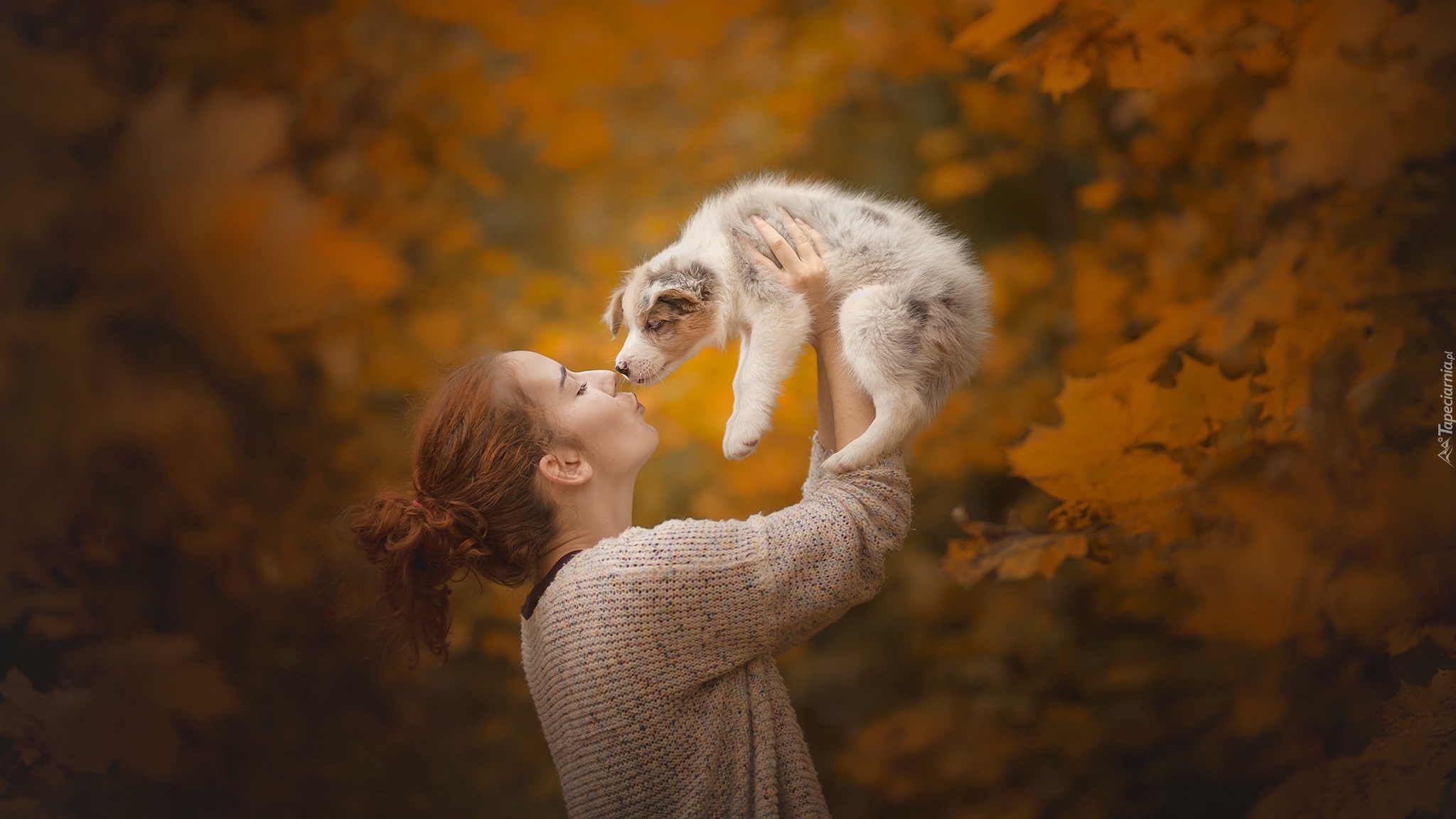 Kobieta, Pies, Szczeniak Border collie