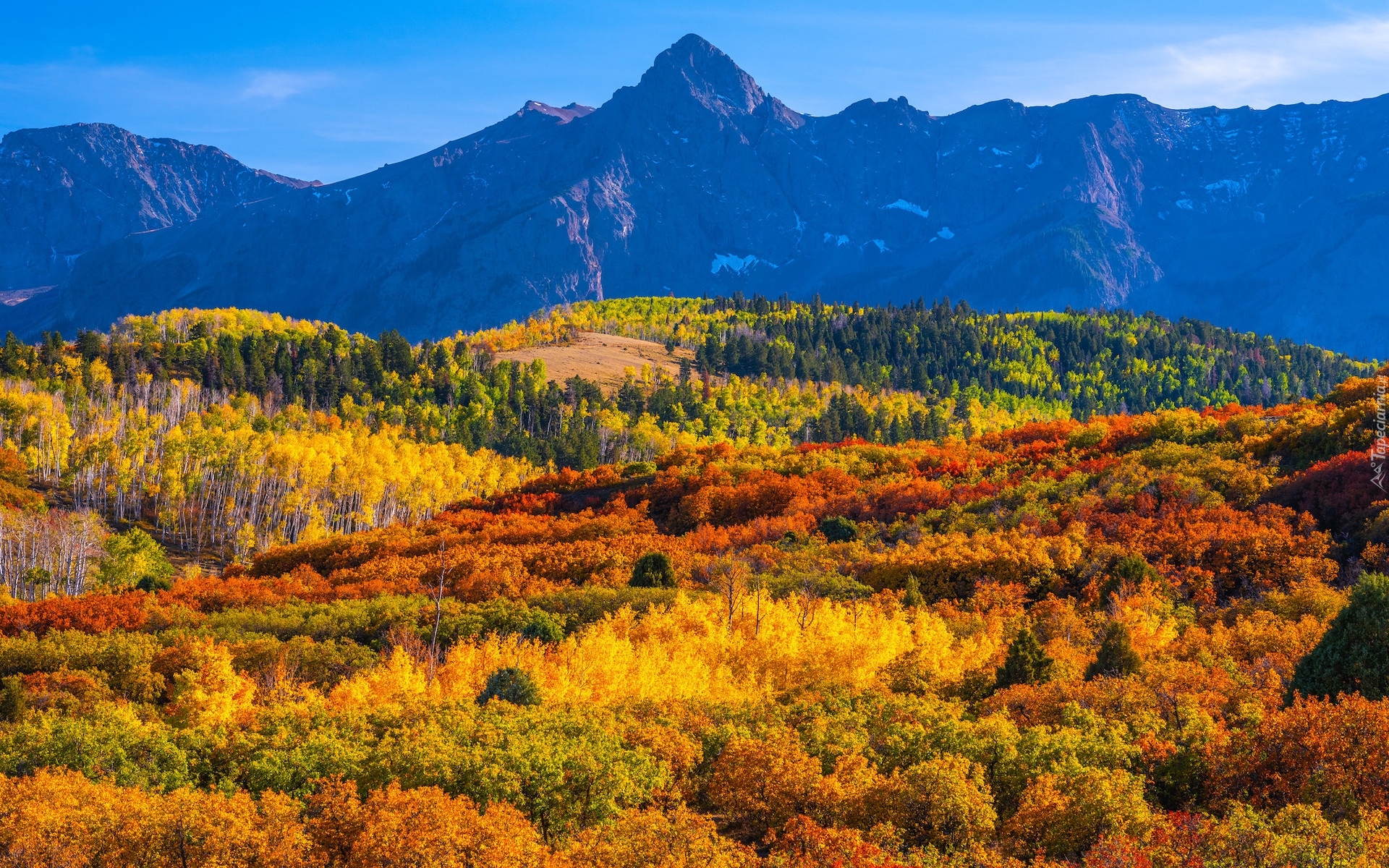 Góry, San Juan Mountains, Przełęcz, Dallas Divide, Jesień, Lasy, Drzewa, Kolorado, Stany Zjednoczone