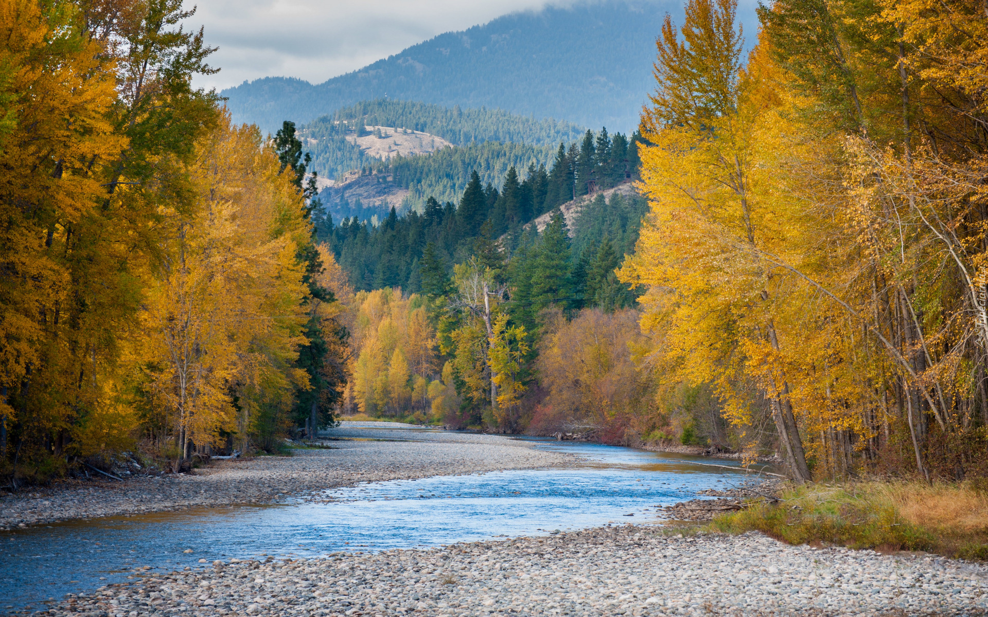 Góry Kaskadowe, Rzeka, Methow River, Las, Drzewa, Brzeg, Kamienie, Jesień, Stan Waszyngton, Stany Zjednoczone