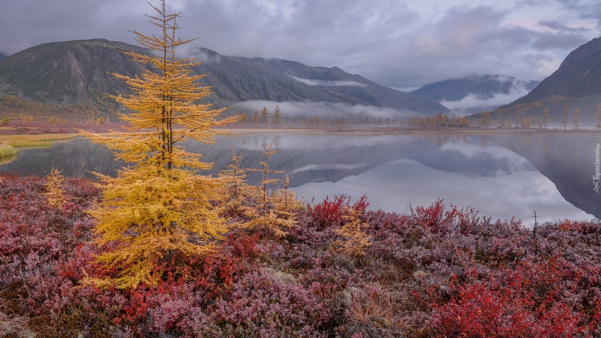 Jesień, Drzewa, Roślinność, Góry Kołymskie, Jezioro, Jack London, Kołyma, Rosja