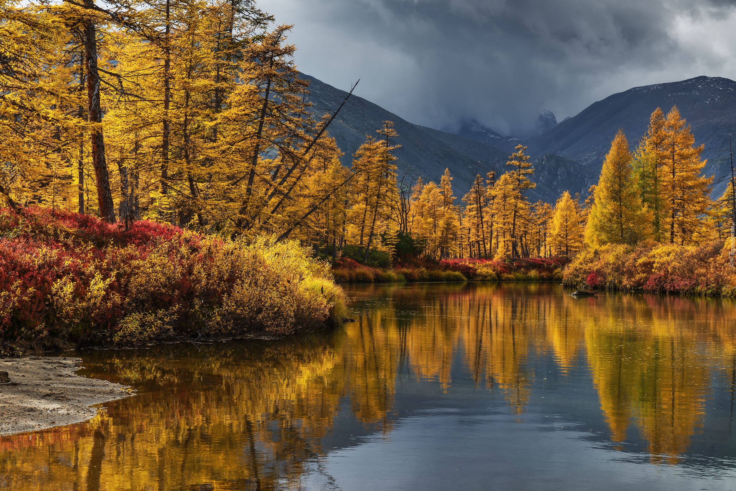 Jesień, Kolorowa, Roślinność, Drzewa, Góry, Jezioro, Jack London, Kołyma, Rosja