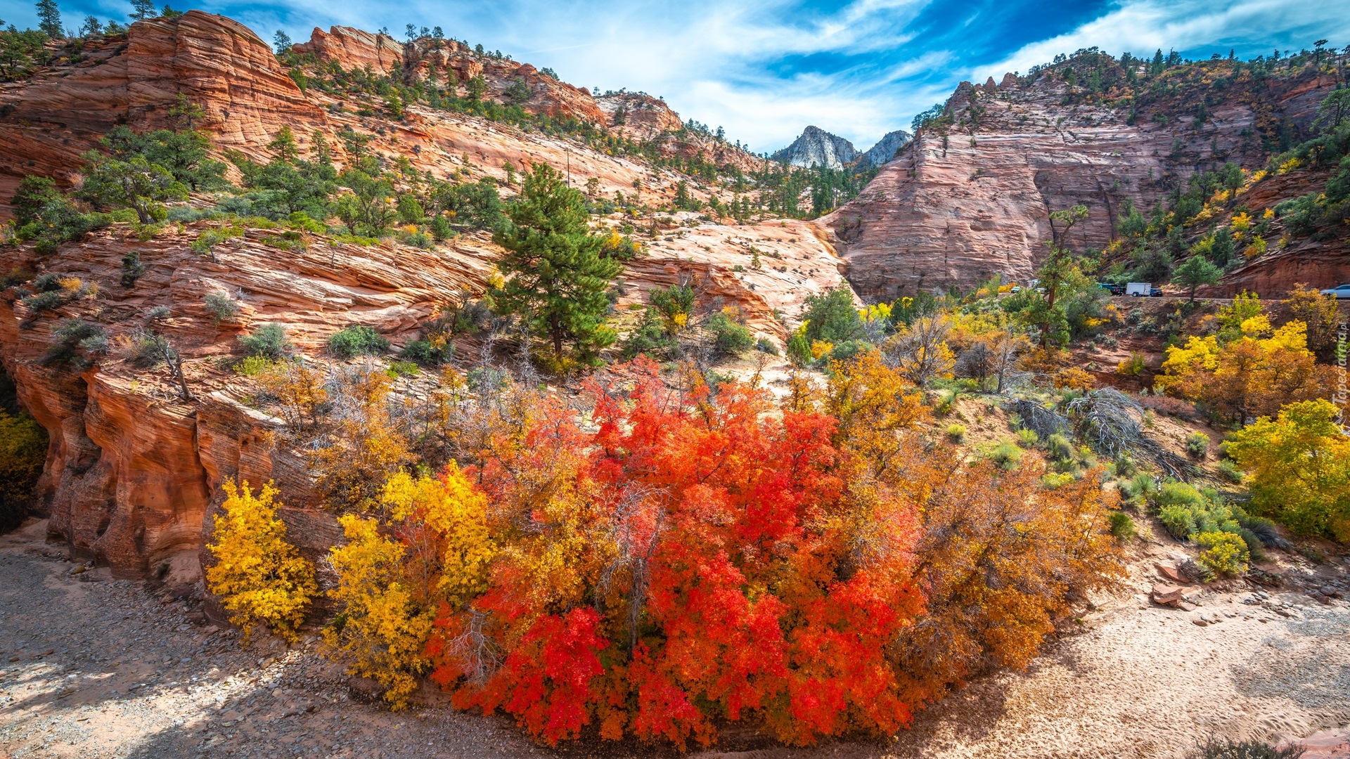 Stany Zjednoczone, Stan Utah, Park Narodowy Zion, Skały, Roślinność, Jesień