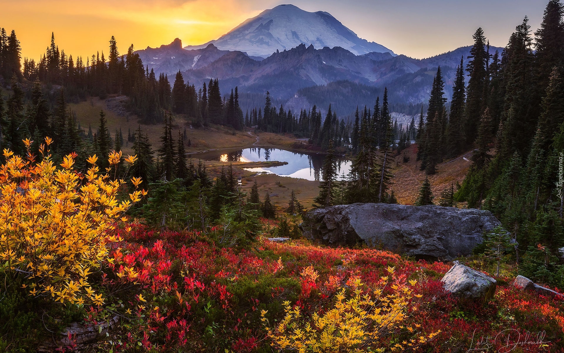 Zachód słońca, Stratowulkan Mount Rainier, Jezioro, Tipsoo Lake, Waszyngton, Stany Zjednoczone, Drzewa, Skała, Krzewy, Góry