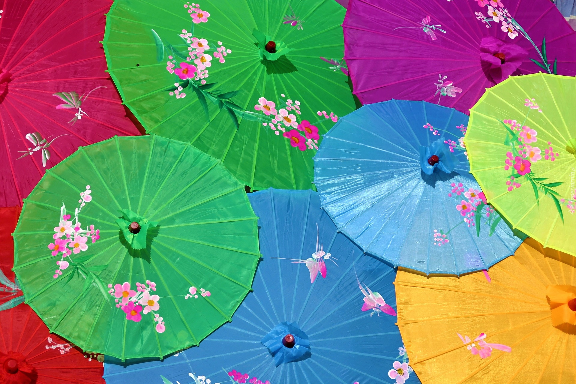 Parasolki, Chińskie, Kolorowe