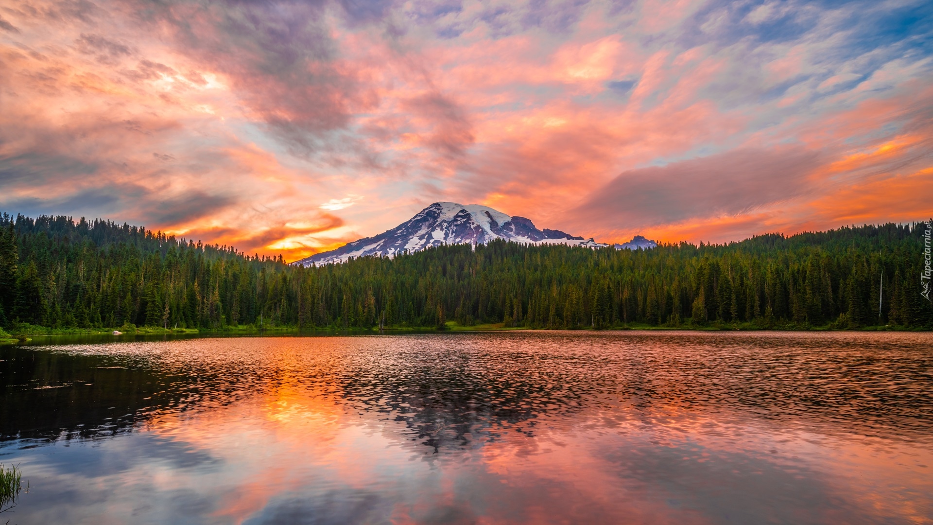 Góra, Stratowulkan Mount Rainier, Jezioro, Reflection Lake, Chmury, Park Narodowy Mount Rainier, Drzewa, Stan Waszyngton, Stany Zjednoczone