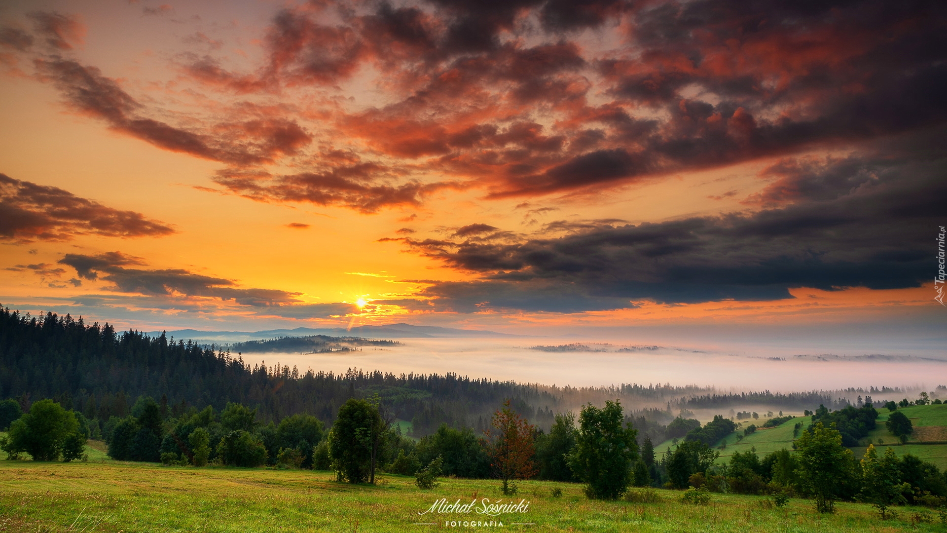 Góry, Lasy, Drzewa, Pole, Chmury, Wschód słońca