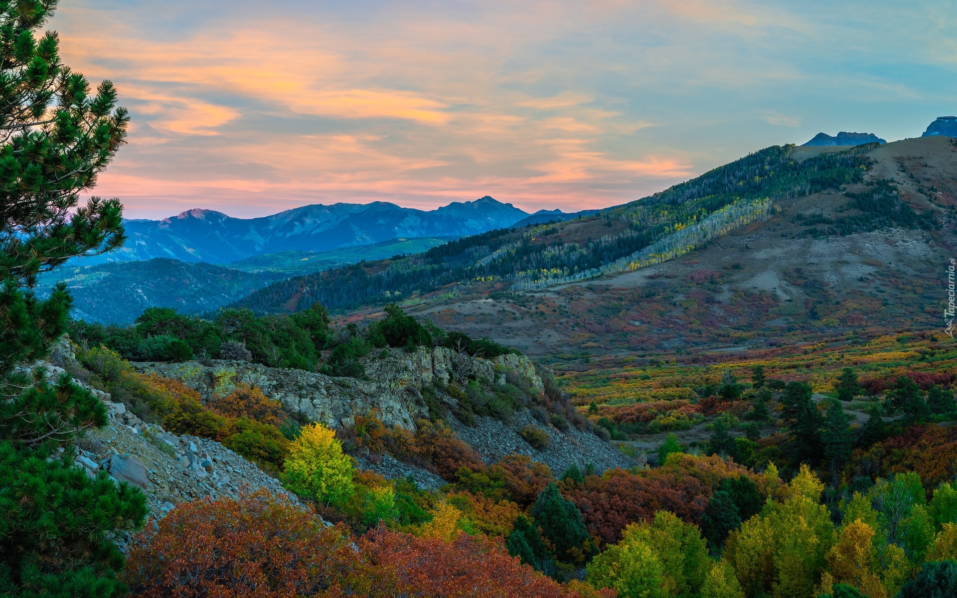 Jesień, Góry, San Juan Mountains, Dolina, Skały, Drzewa, Lasy, Kolorowe, Krzewy, Telluride, Kolorado, Stany Zjednoczone